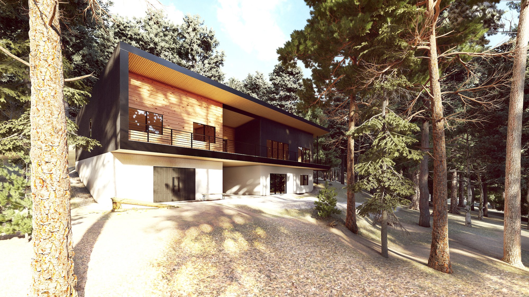 Mills River Render 4.jpg