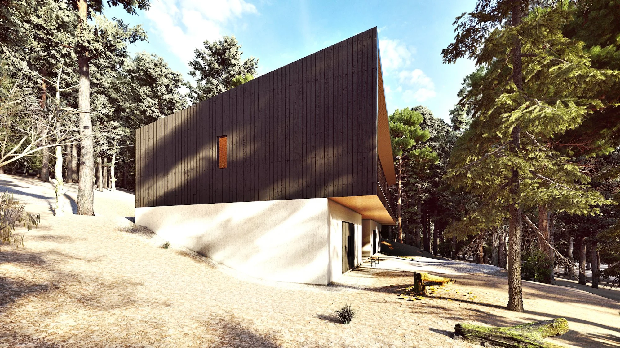 Mills River Render 3.jpg
