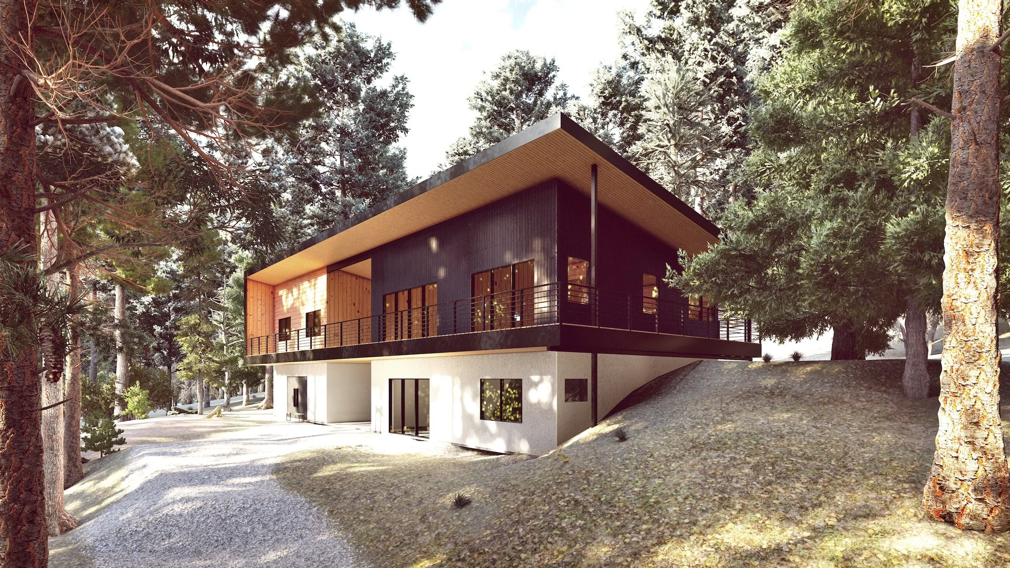 Mills River Render 7.jpg