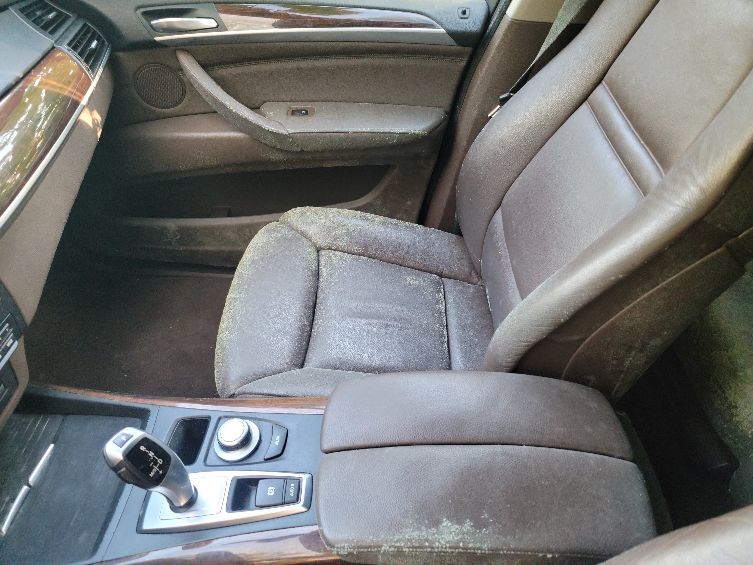 BMW SUV mold remediation passenger seat before