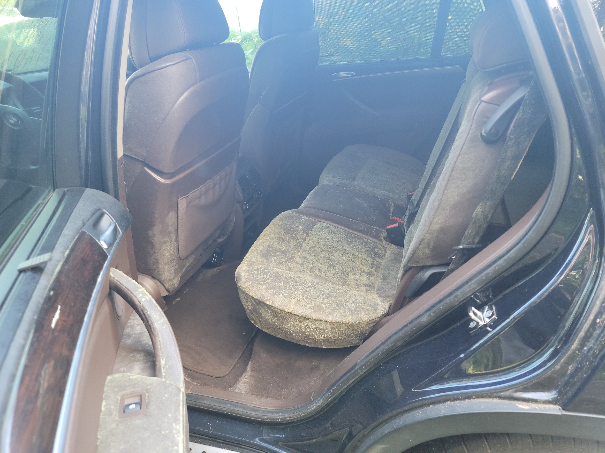 BMW SUV mold remediation back seats before