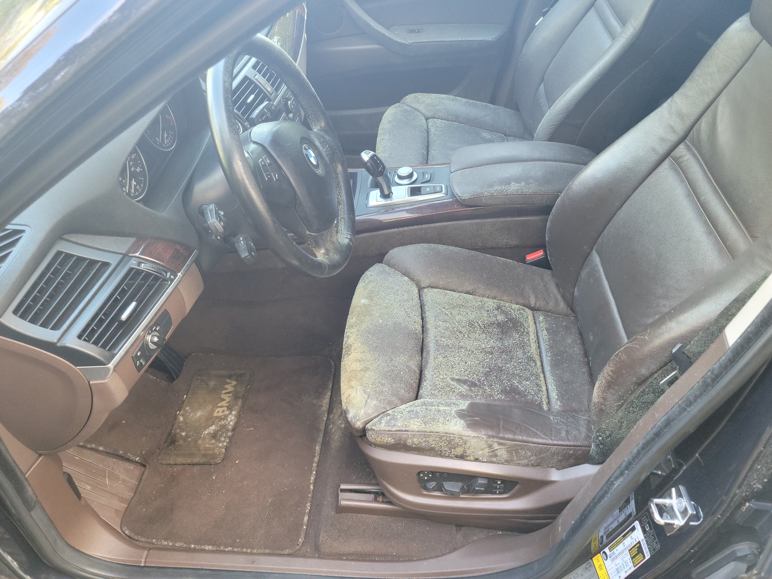 BMW SUV mold remediation driver seat before
