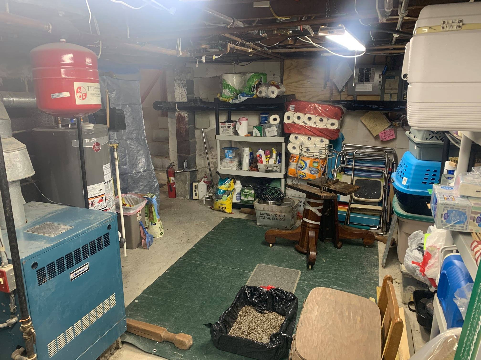 Basement cleanout and organization before
