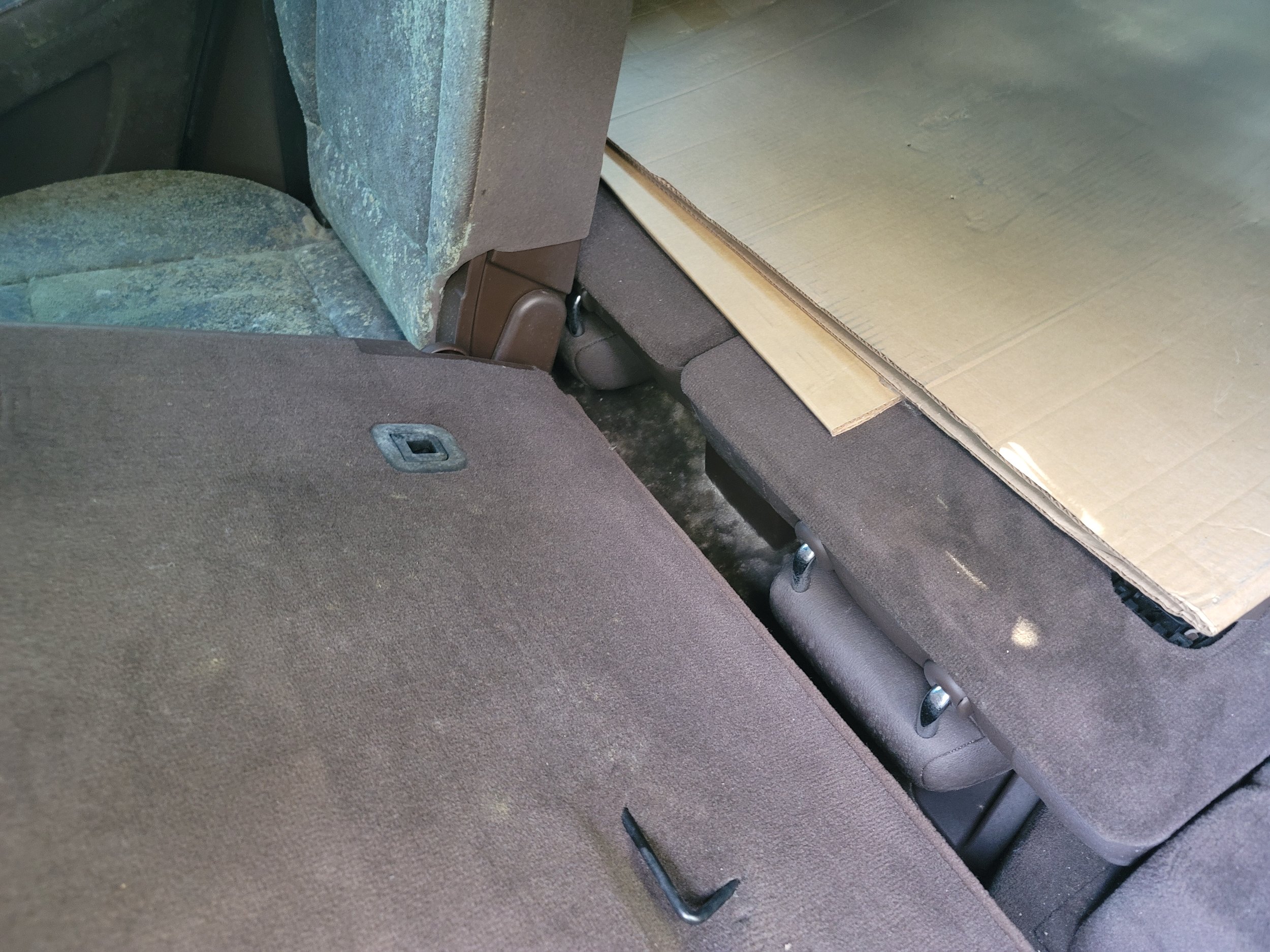BMW SUV mold remediation before