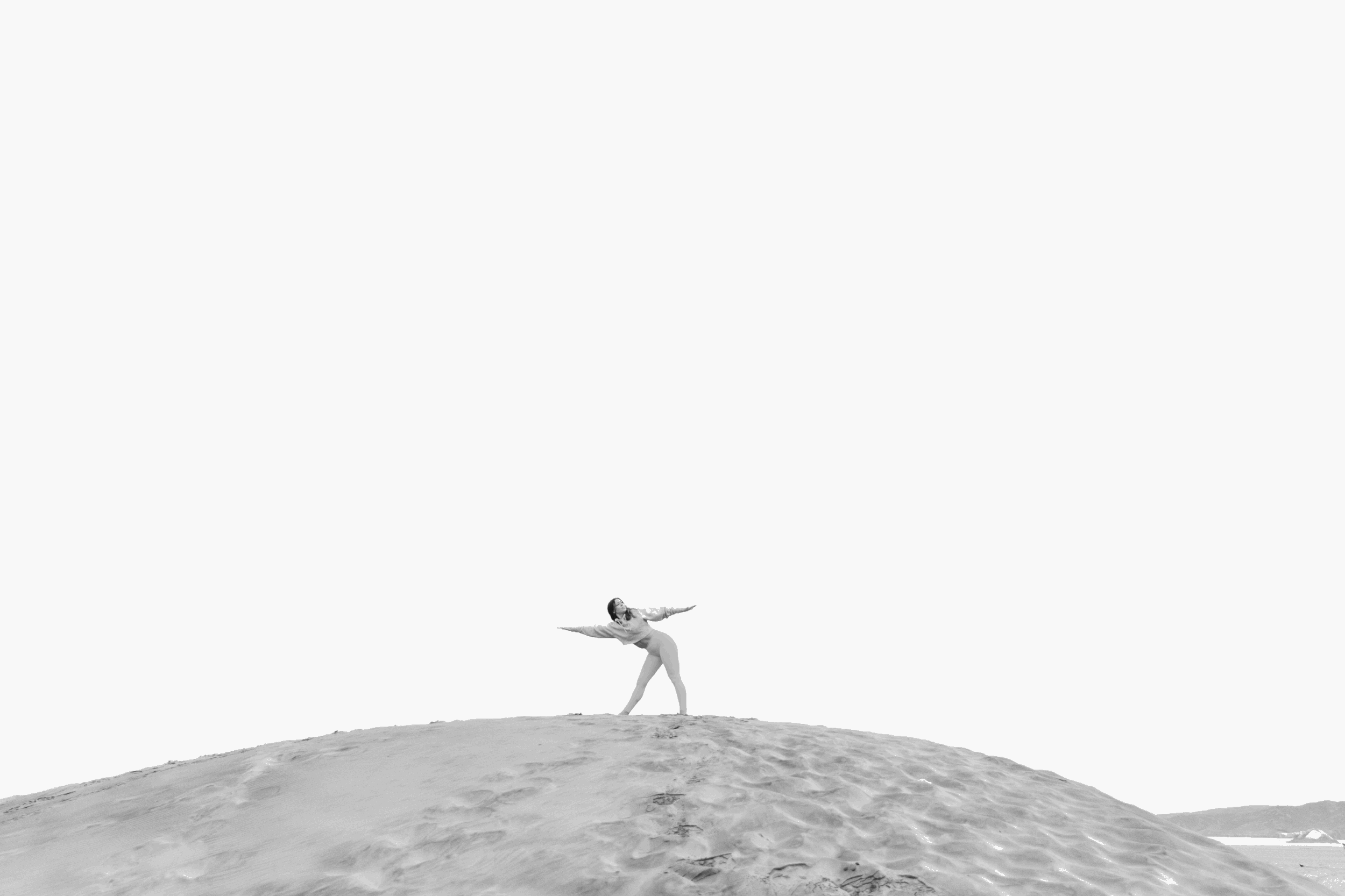 tempImageNPT5a2.gif