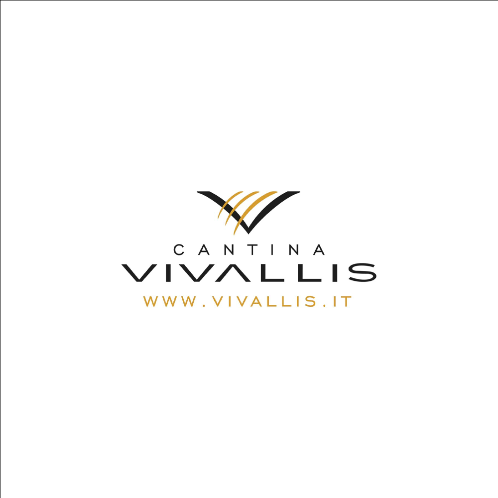 Vivallis LOGO.png