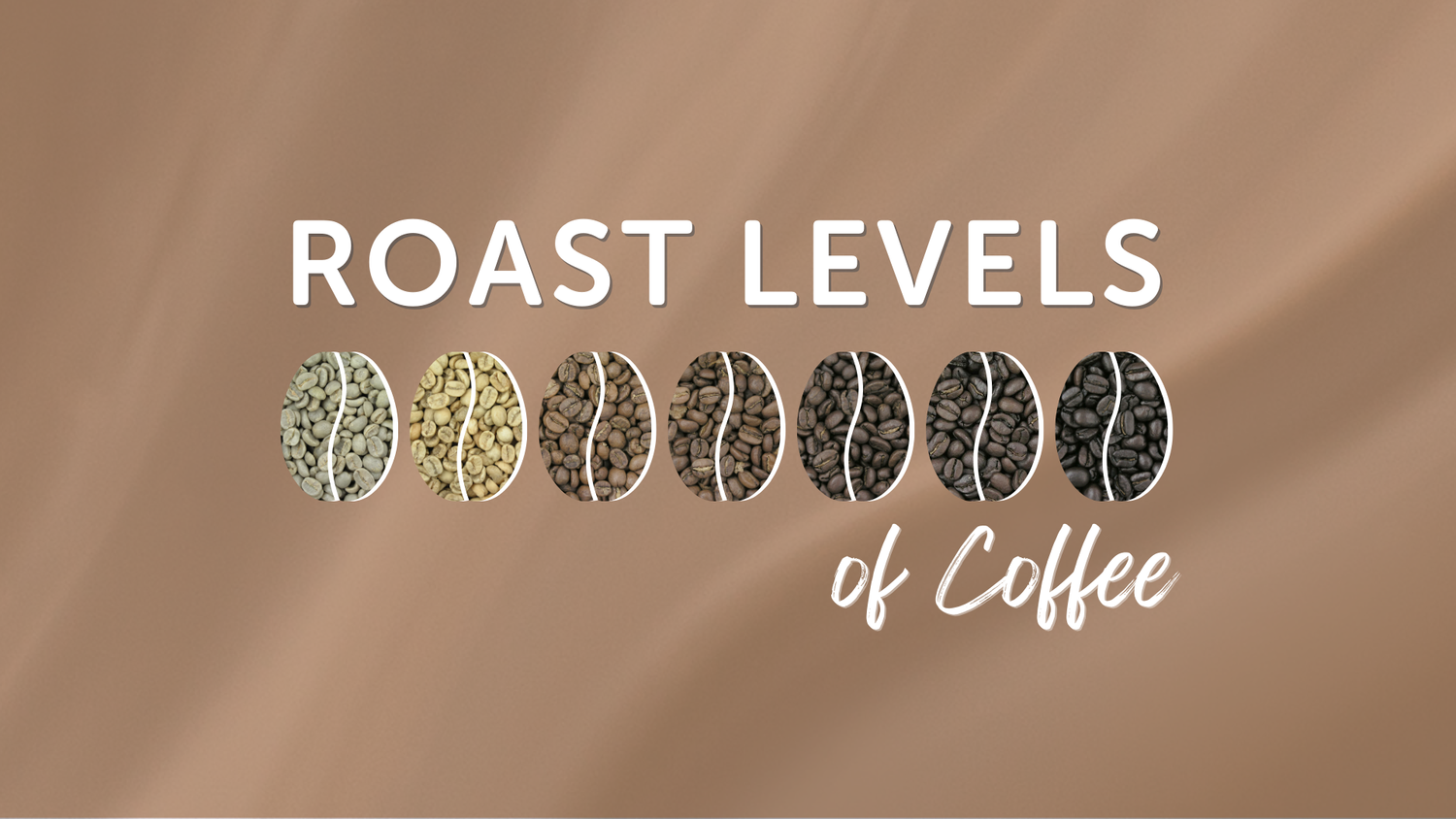 Roast Levels Explained | Types of Coffee Roast Explained – NUNQ