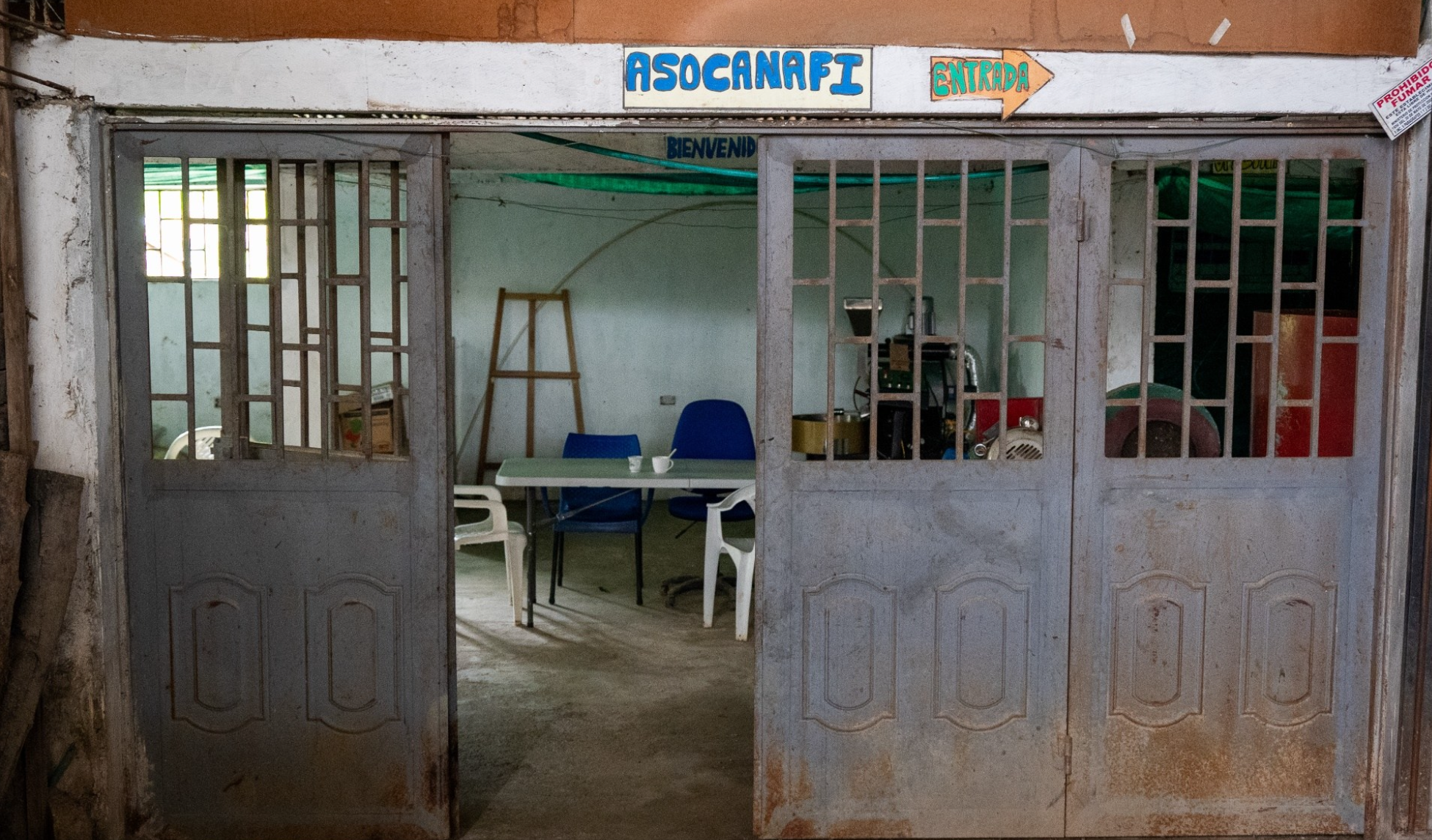 Asocanafi - Tolima Washed Geisha - Colombia Green Coffee - De La Finca Coffee Importers 06.png