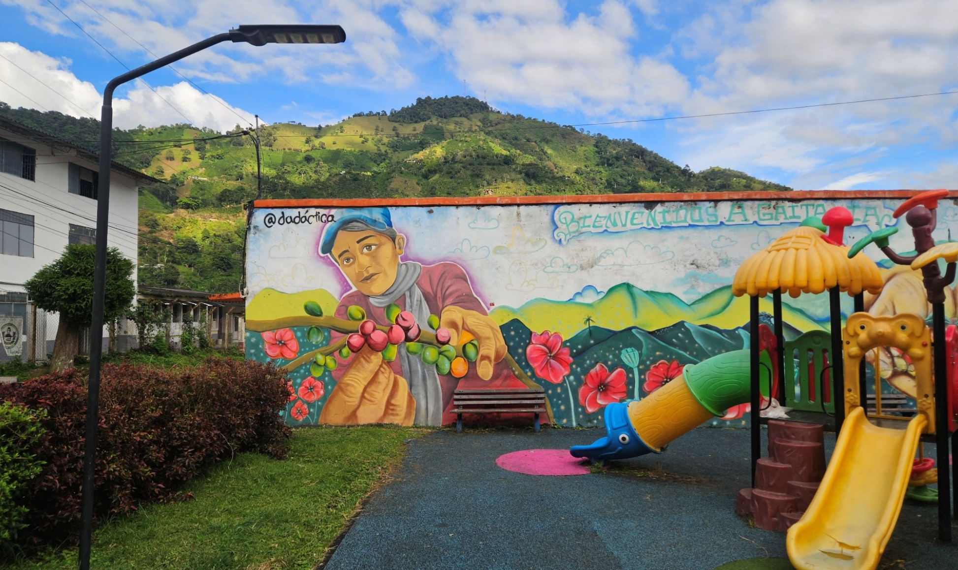 Asocanafi - Tolima Washed Geisha - Colombia Green Coffee - De La Finca Coffee Importers 05.png