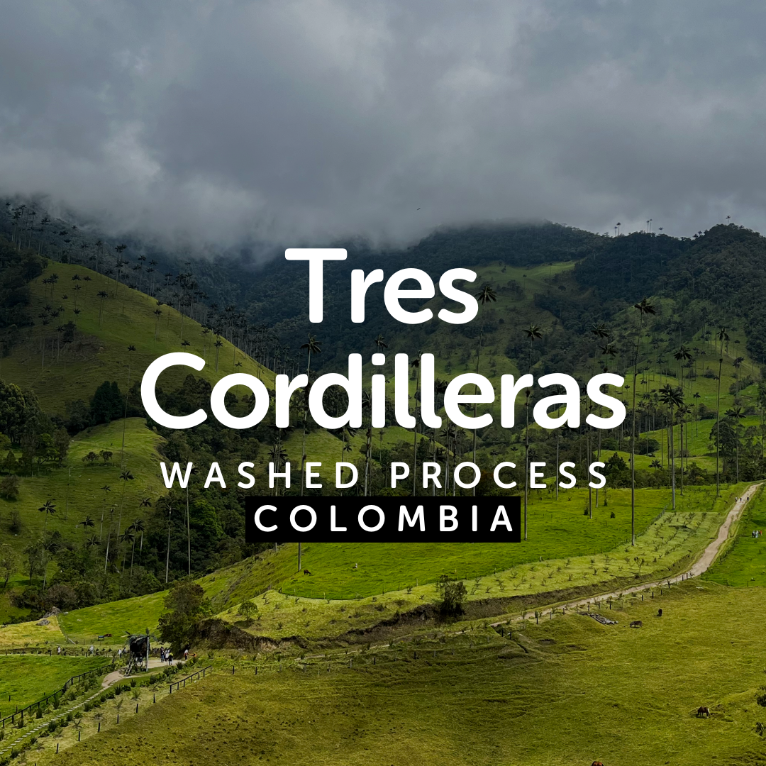 Tres Cordilleras Washed
