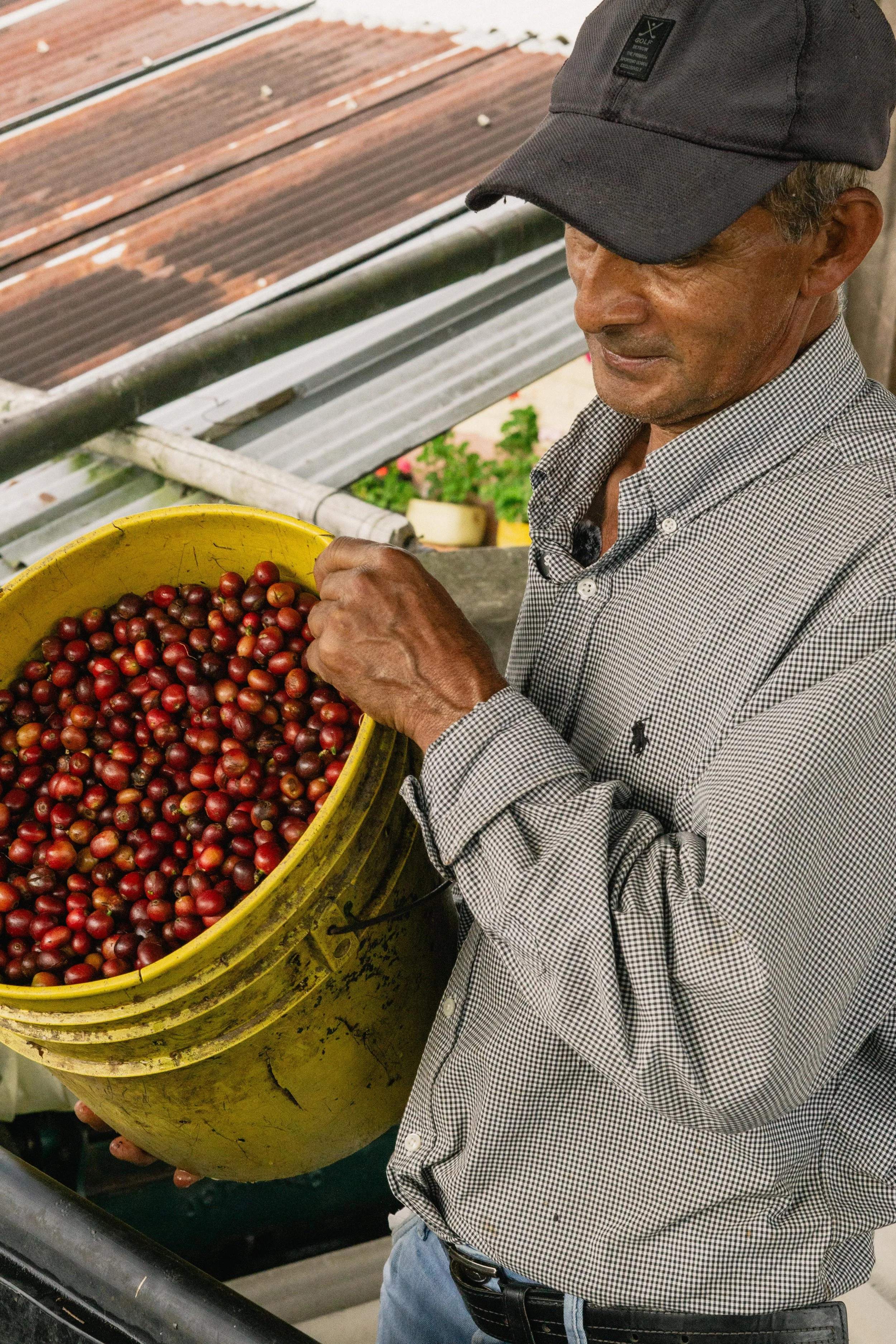 Colombia Green Coffee - FCC - De La Finca Coffee Importers.jpg