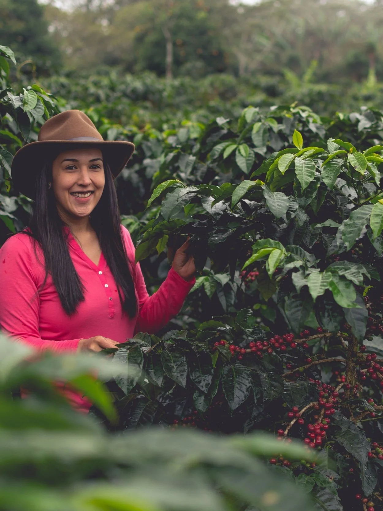 Shop 77lb and Under — De La Finca Coffee Importers