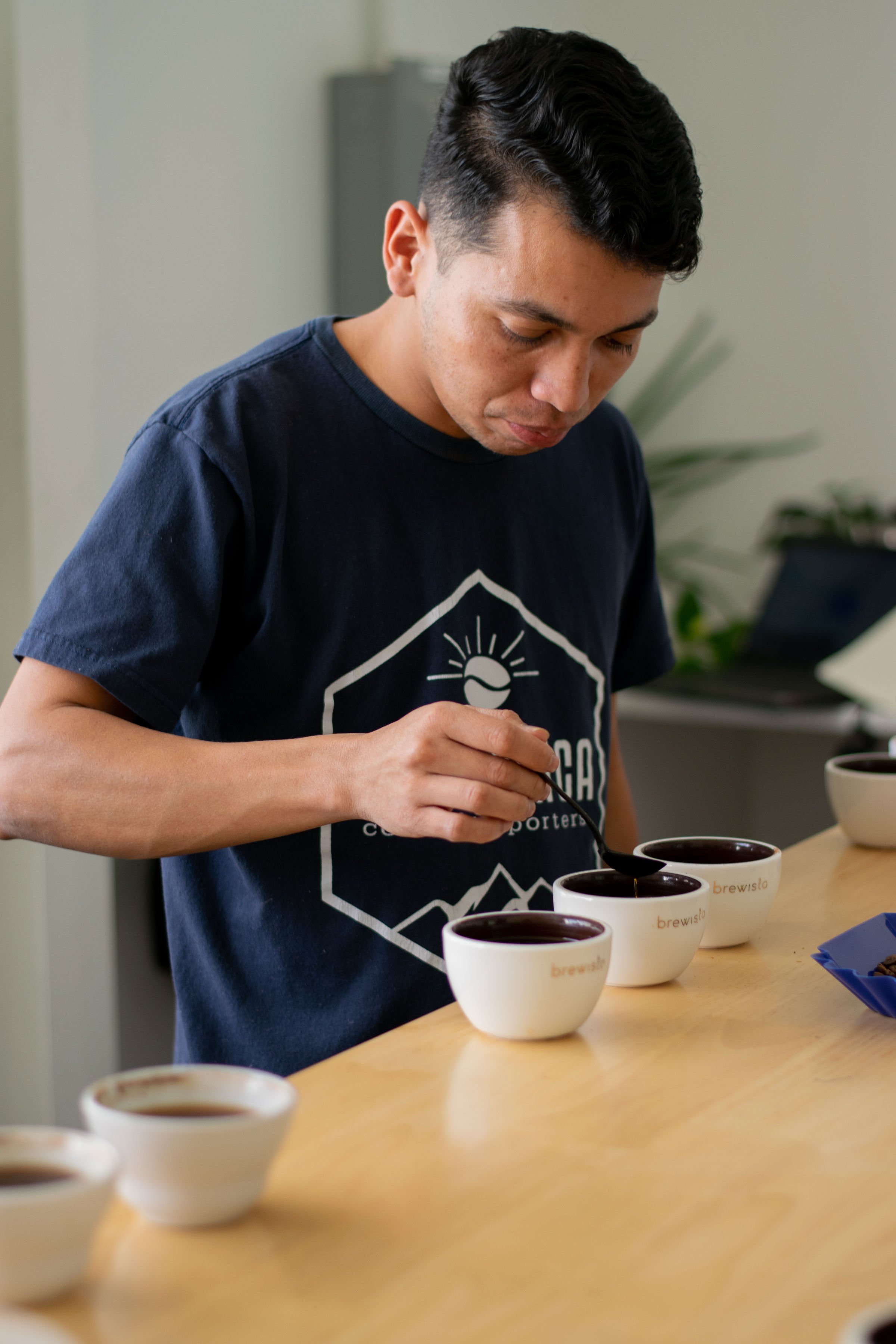 About Us — De La Finca Coffee Importers Direct Trade Green Coffee