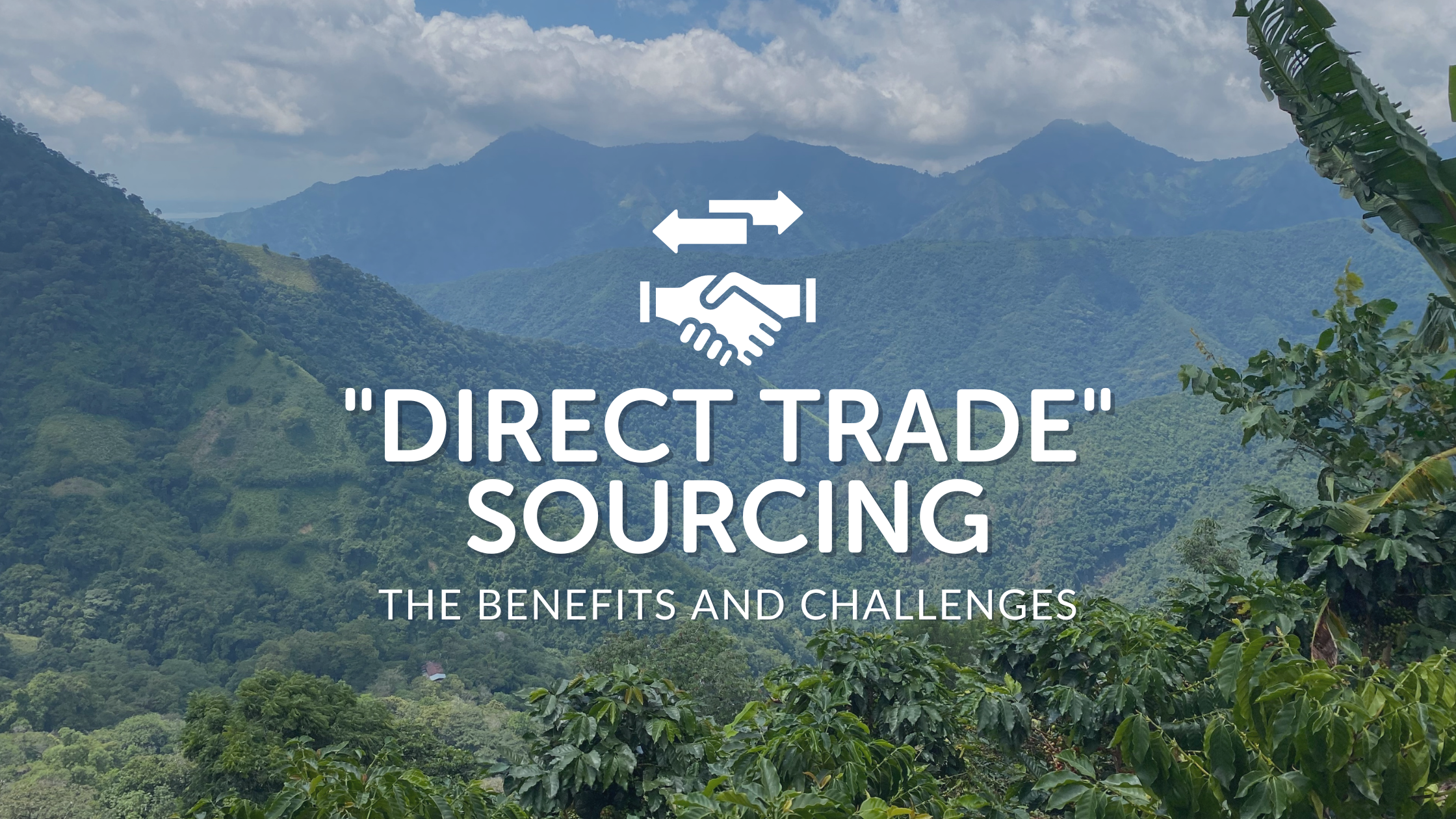 “Direct Trade” Sourcing: The Benefits and Challenges — De La Finca ...