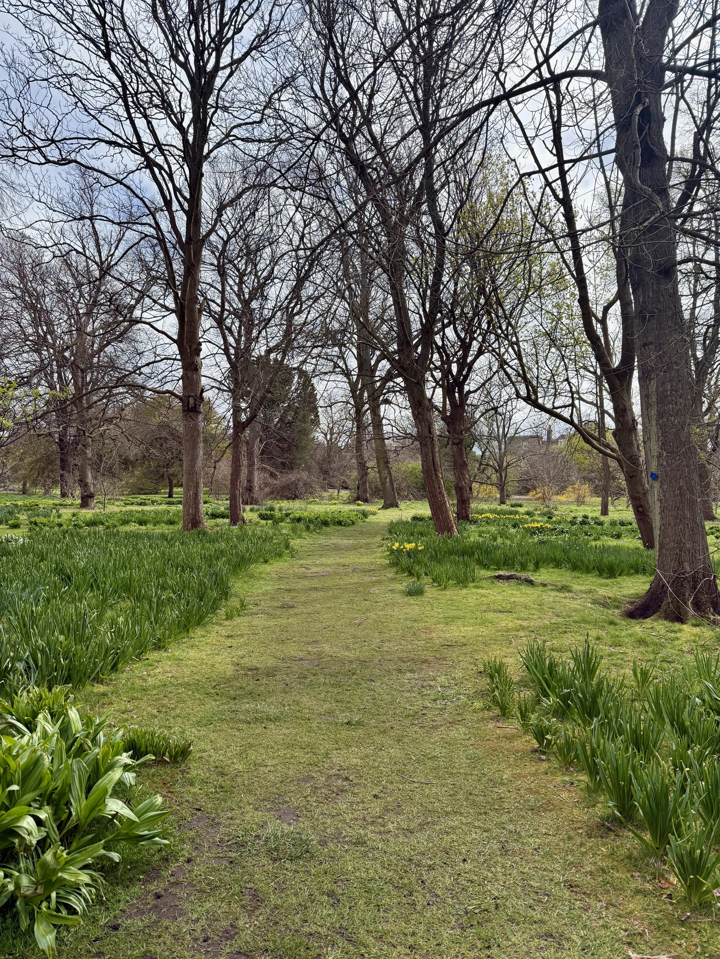 Moving beyond peat