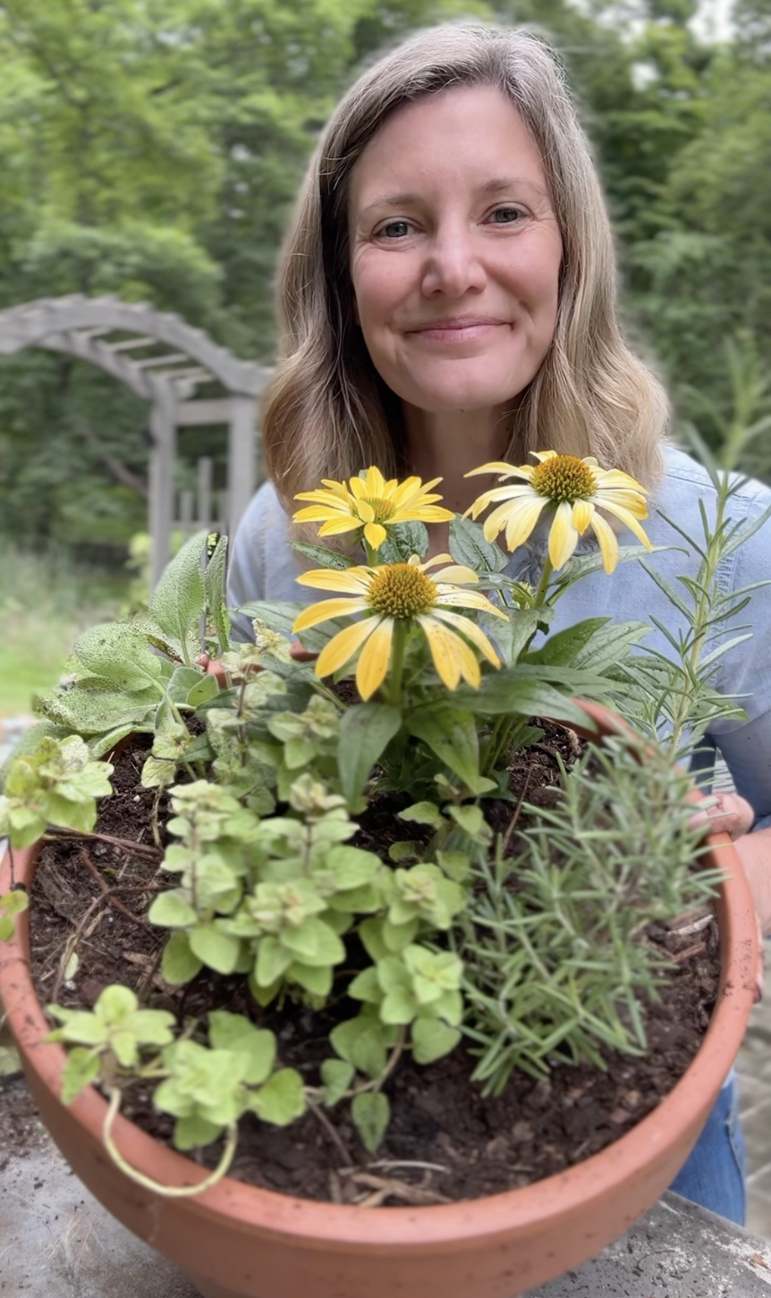 A Sunny Perennial Edible Planter 