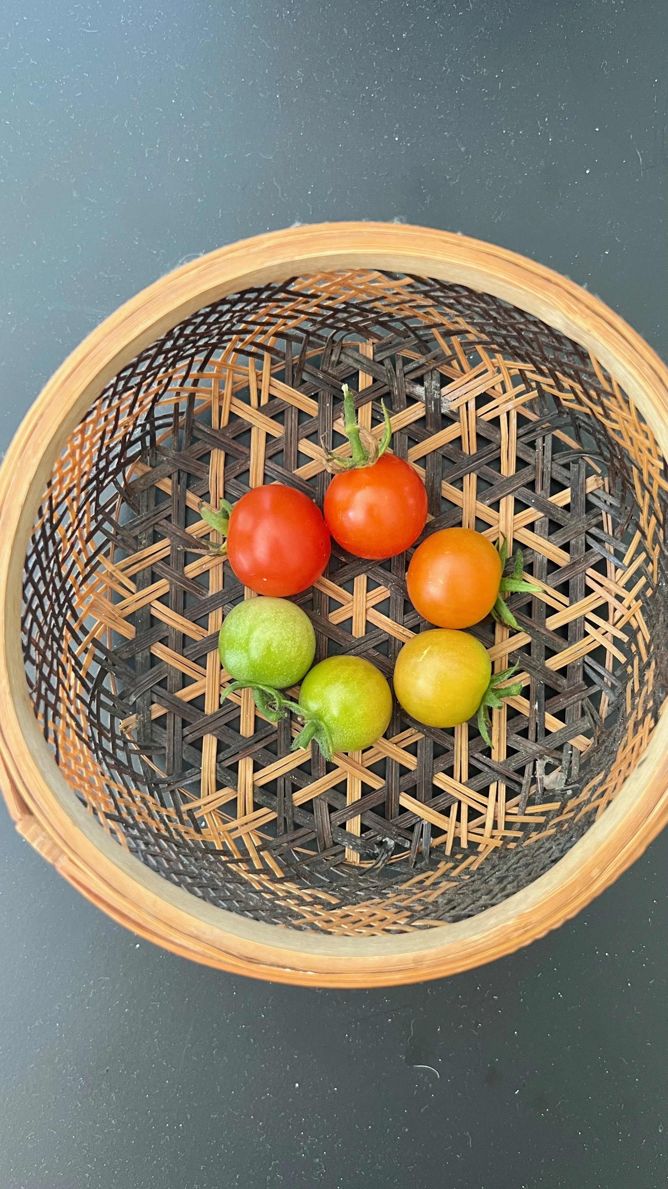 cherry tomatoes of varying degrees of mature sitting in a wicker basket