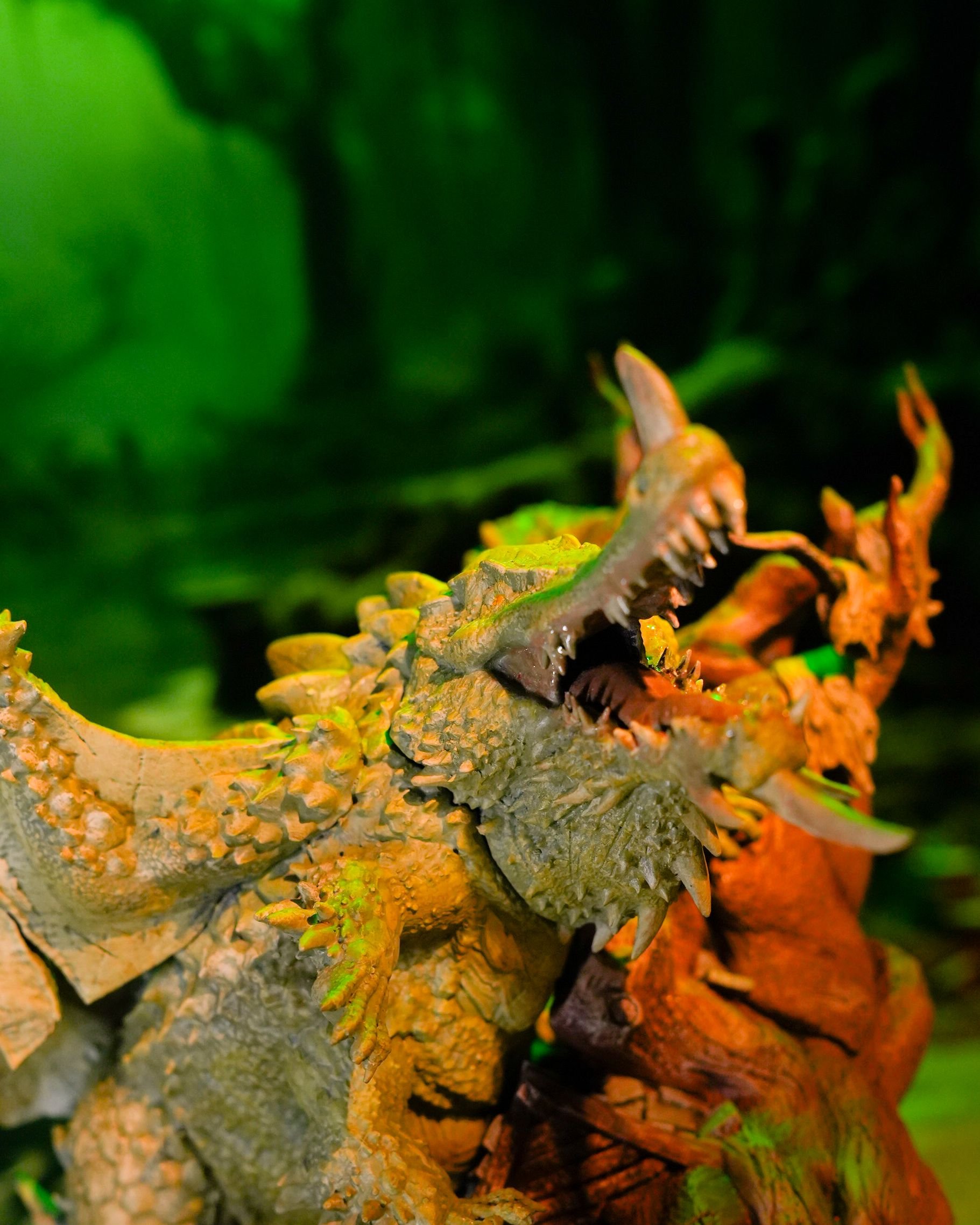 DSC_01361_749477d127.jpg