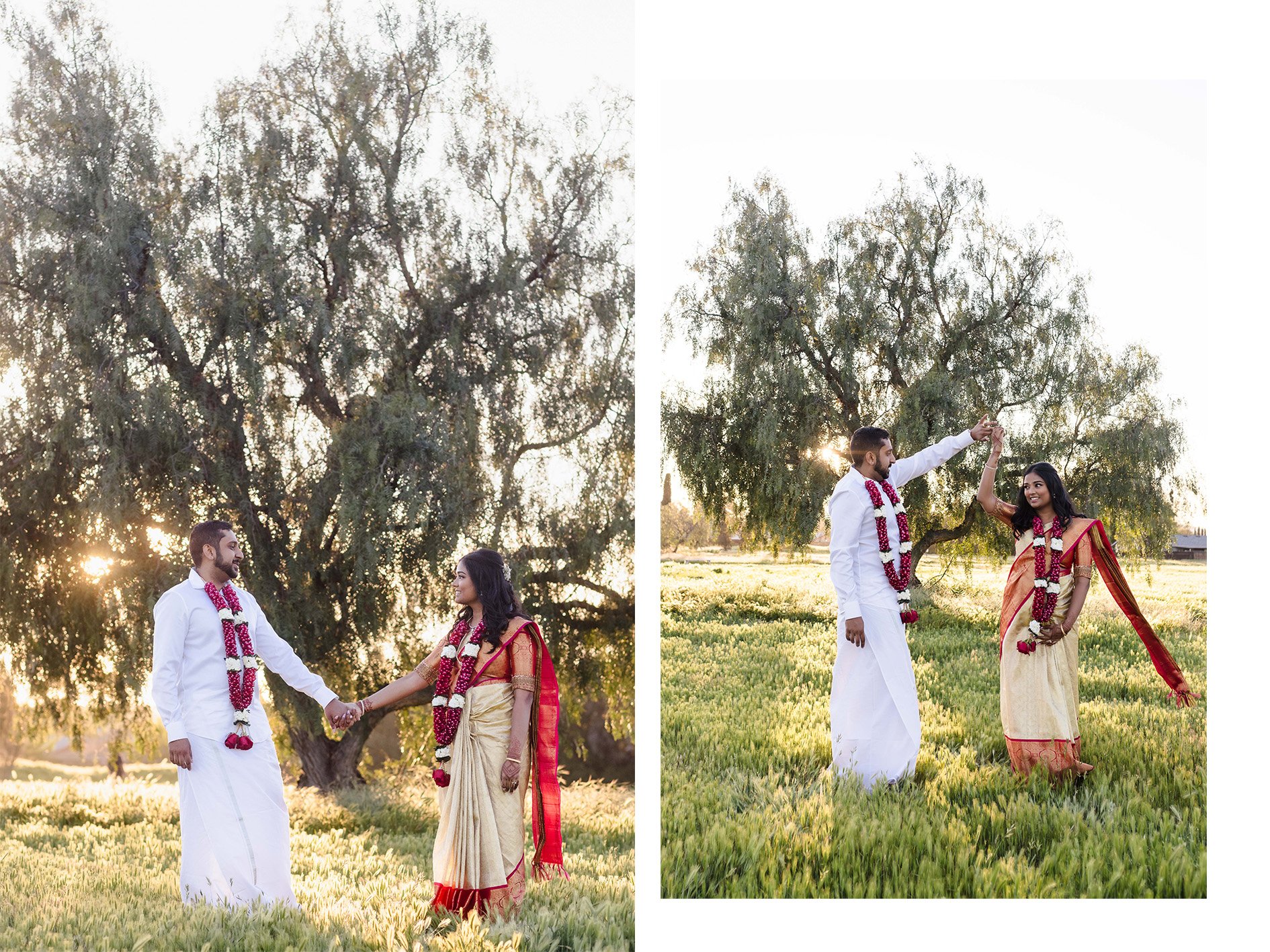 Bay Area South Indian Wedding