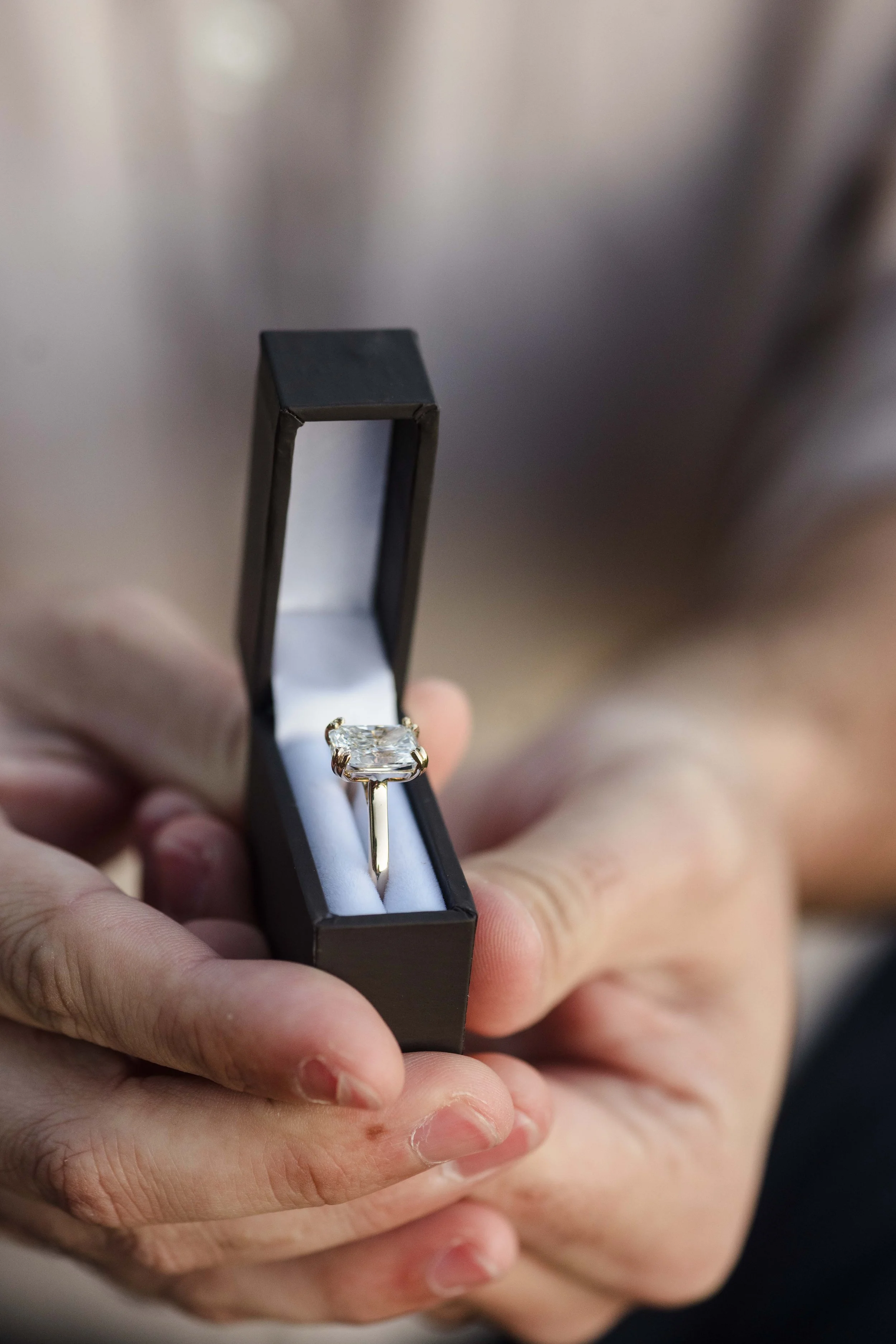 SF Proposal photographer