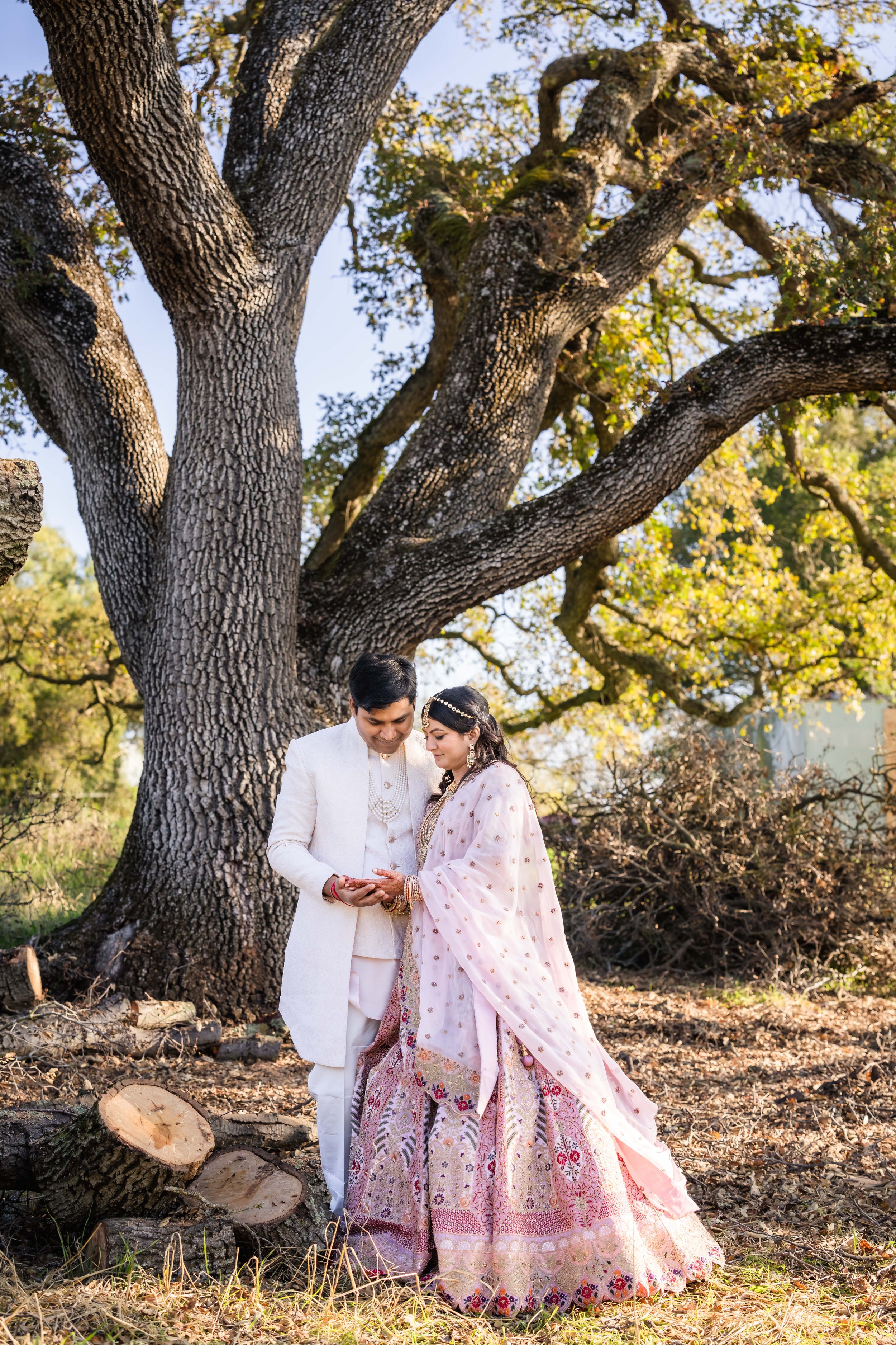Bay Area Indian Wedding Photographer