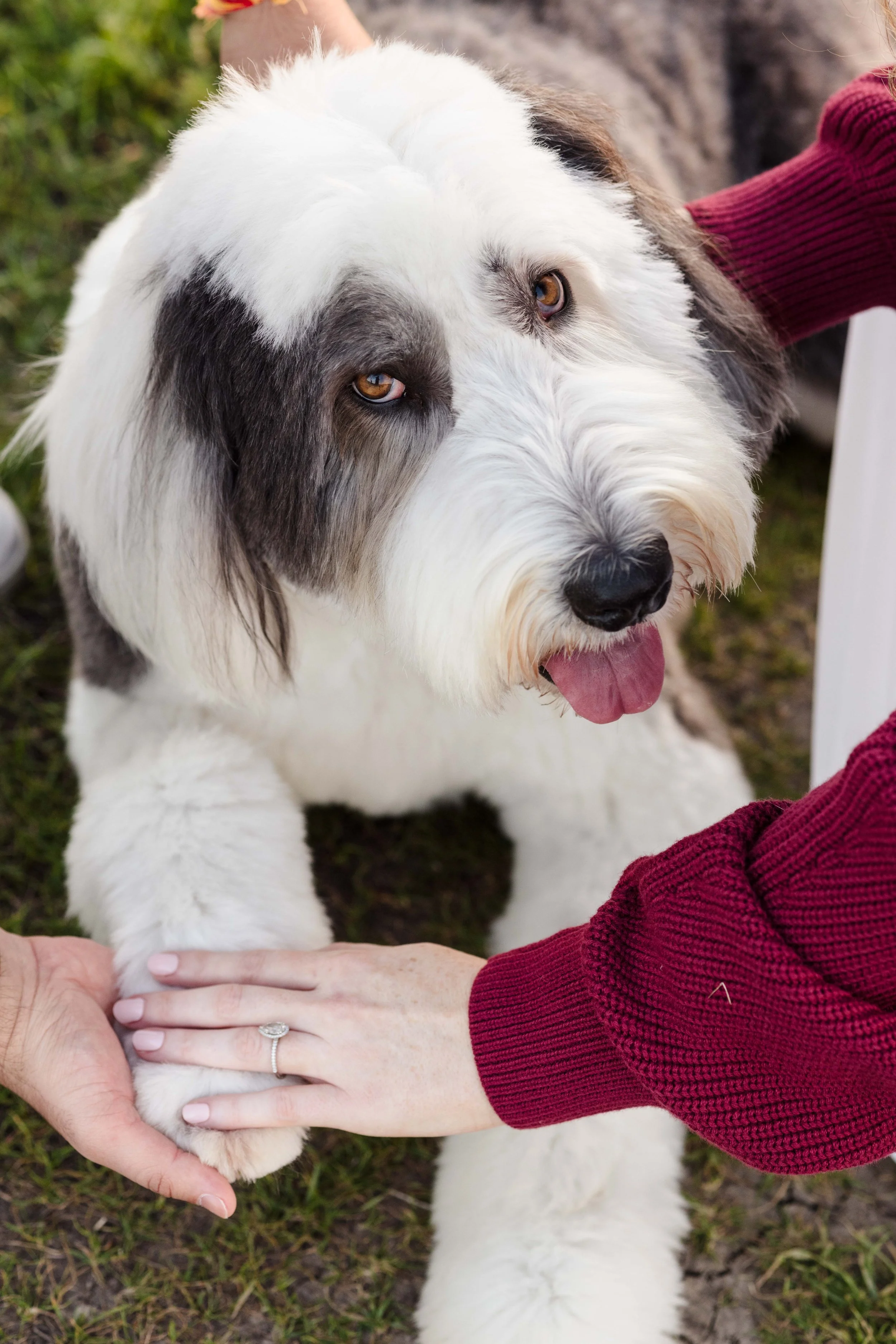 Bay Area Wedding photographer