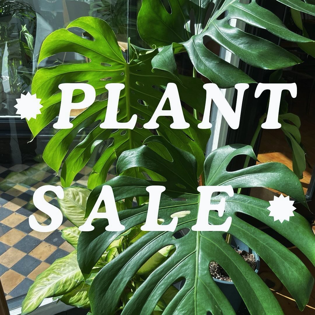 ✦To celebrate our 1st birthday we are having a plant sale this weekend! 

✦20% off ALL plants, ALL weekend! 

✦See you there! 🖤

*Saturday 10th &amp; Sunday 11th 
*Excludes flowers and plant pots

.
.
.
#plantsale #plants #plantlover #plantshop #hou