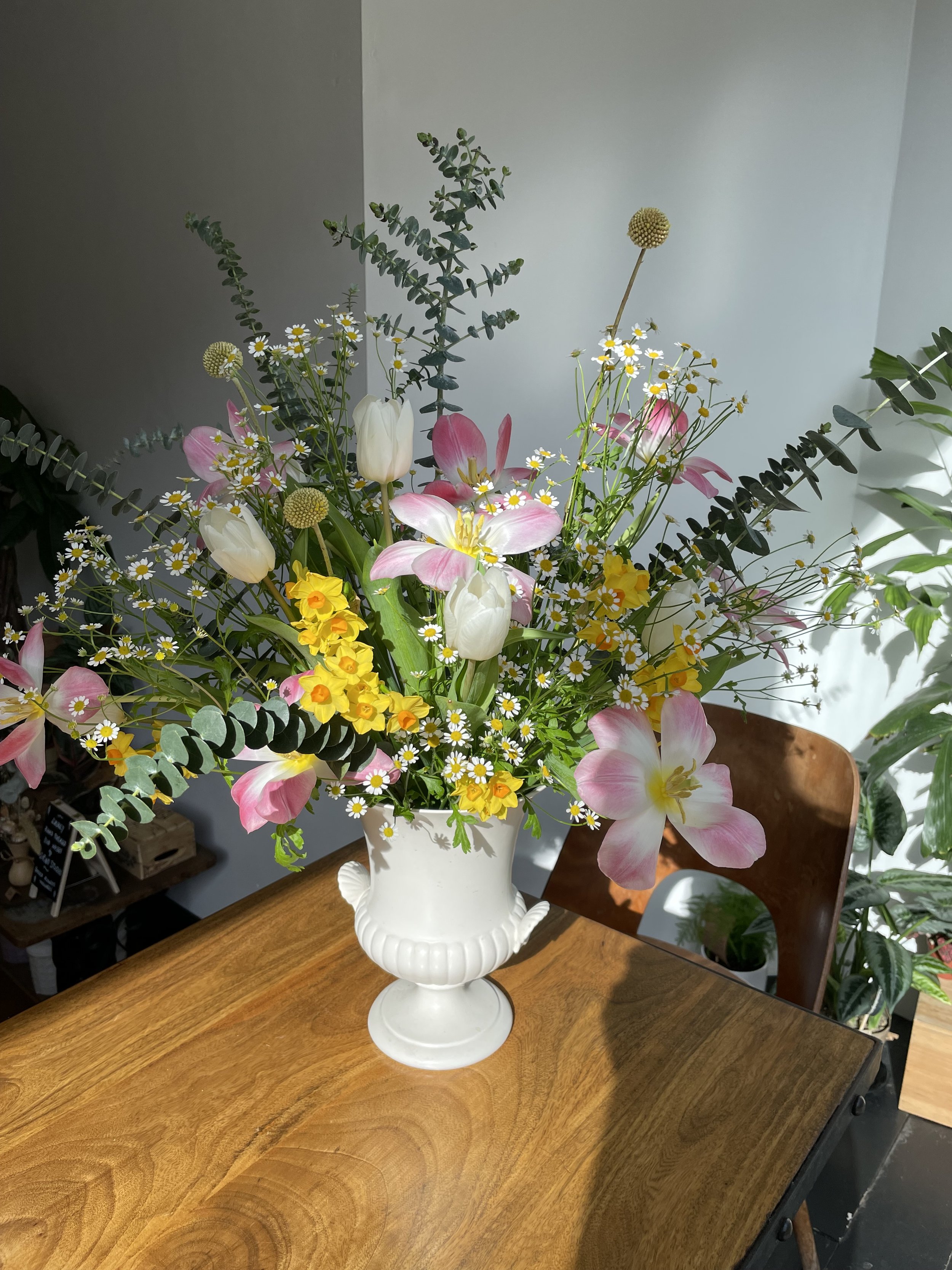IMG_5564.jpeg