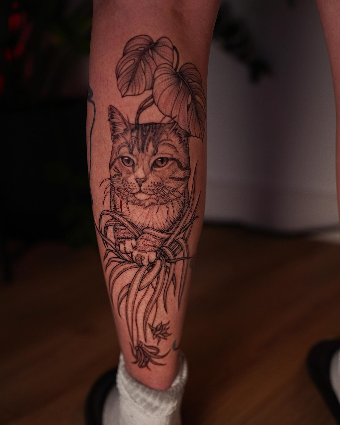A portrait of very good cat named Fishlegs who ate a ton of house plants and had a wild trip afterwards. Also my first time tattooing a spider plant! Ps. We are working on sending out emails to all the people I&rsquo;m not able to fit into this booki