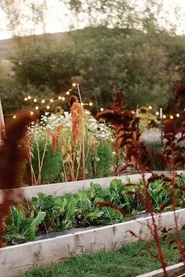 Farm Dinner Series: Gracie’s Farm x Tupelo (Aug 2, 2026)