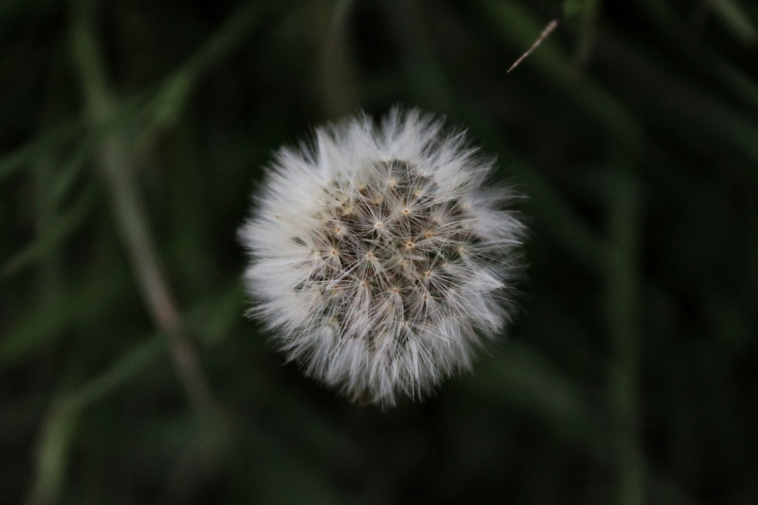 Setting Intentions                                  A Mindful Day Ahead