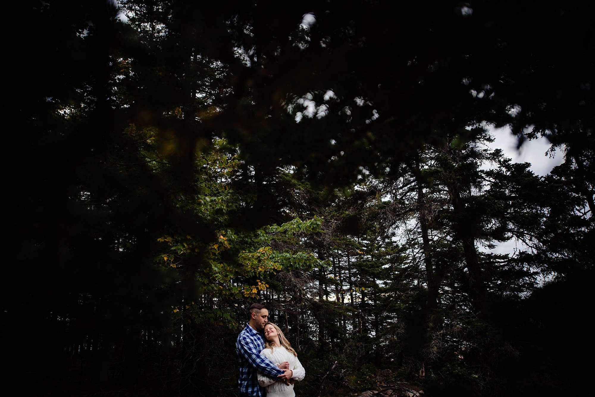 Carriage Roads Acadia Engagement Session 0011.JPG