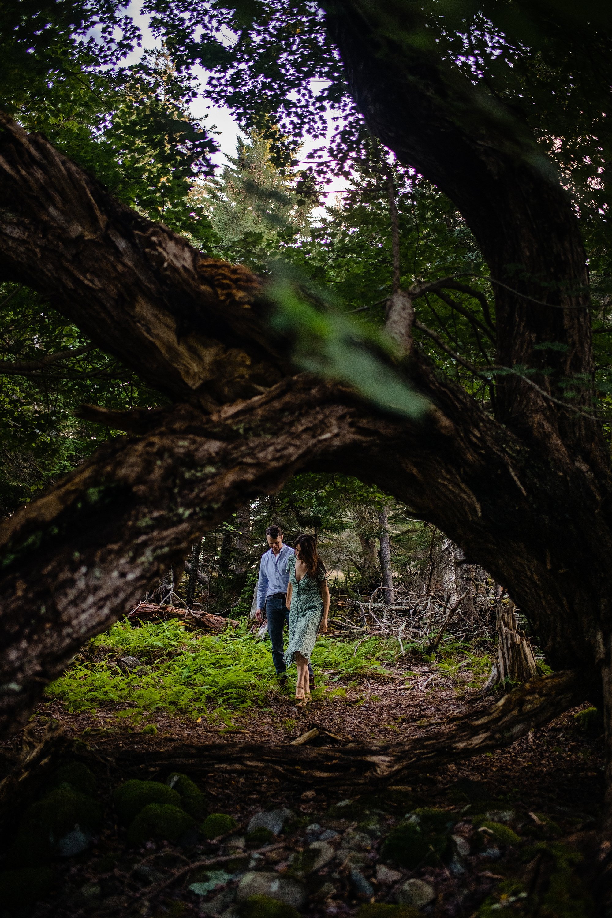 Romantic Anniversary Portraits 012.JPG