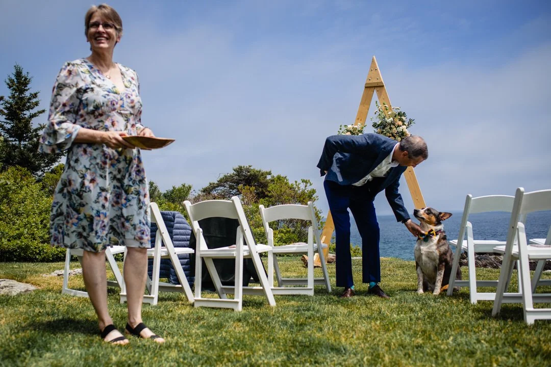 Backyard Oceanside Intimate Wedding 004.JPG