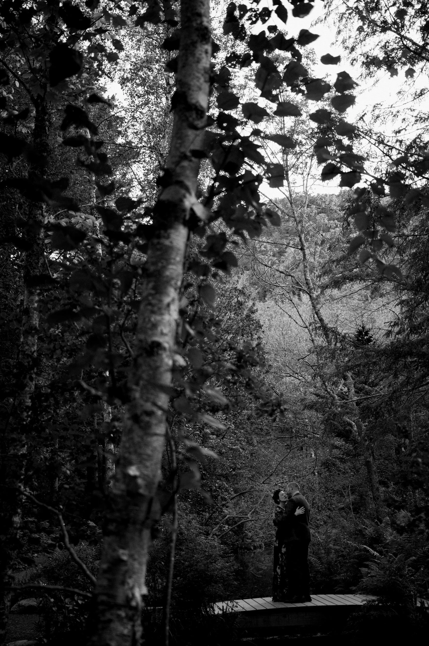 Acadia Elopement in September 0246.JPG