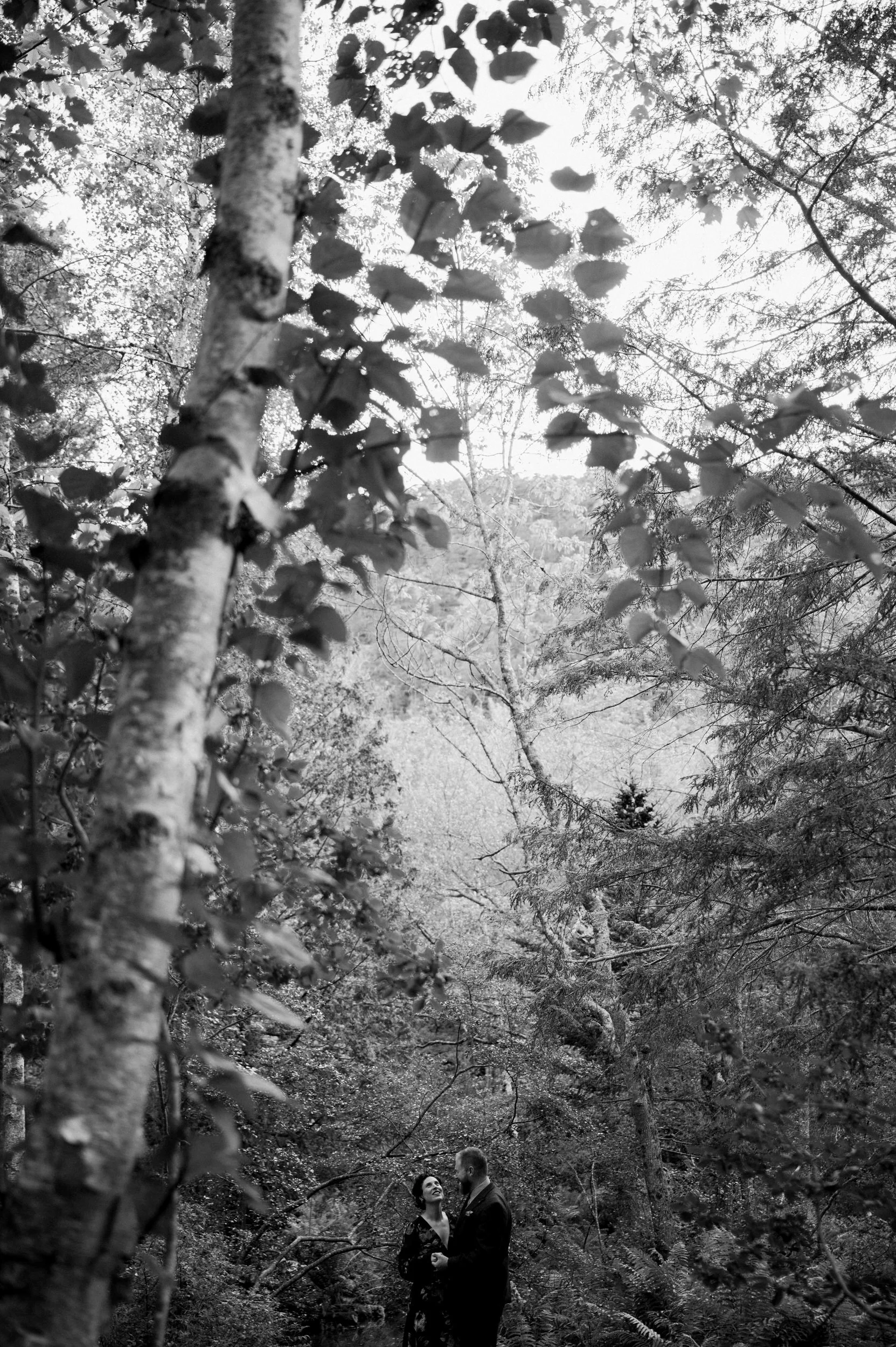 Acadia Elopement in September 0247.JPG