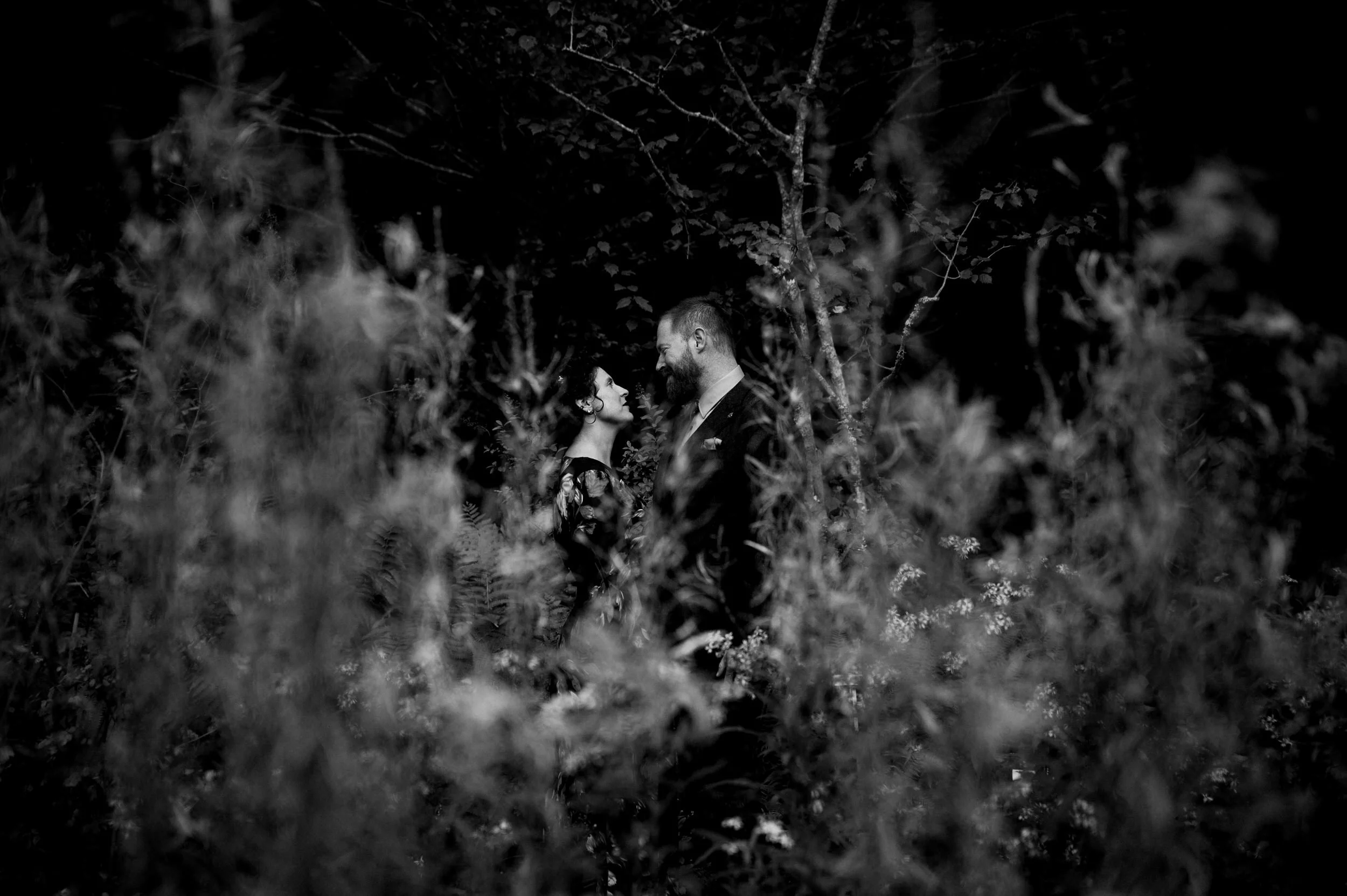 Acadia Elopement in September 0248.JPG