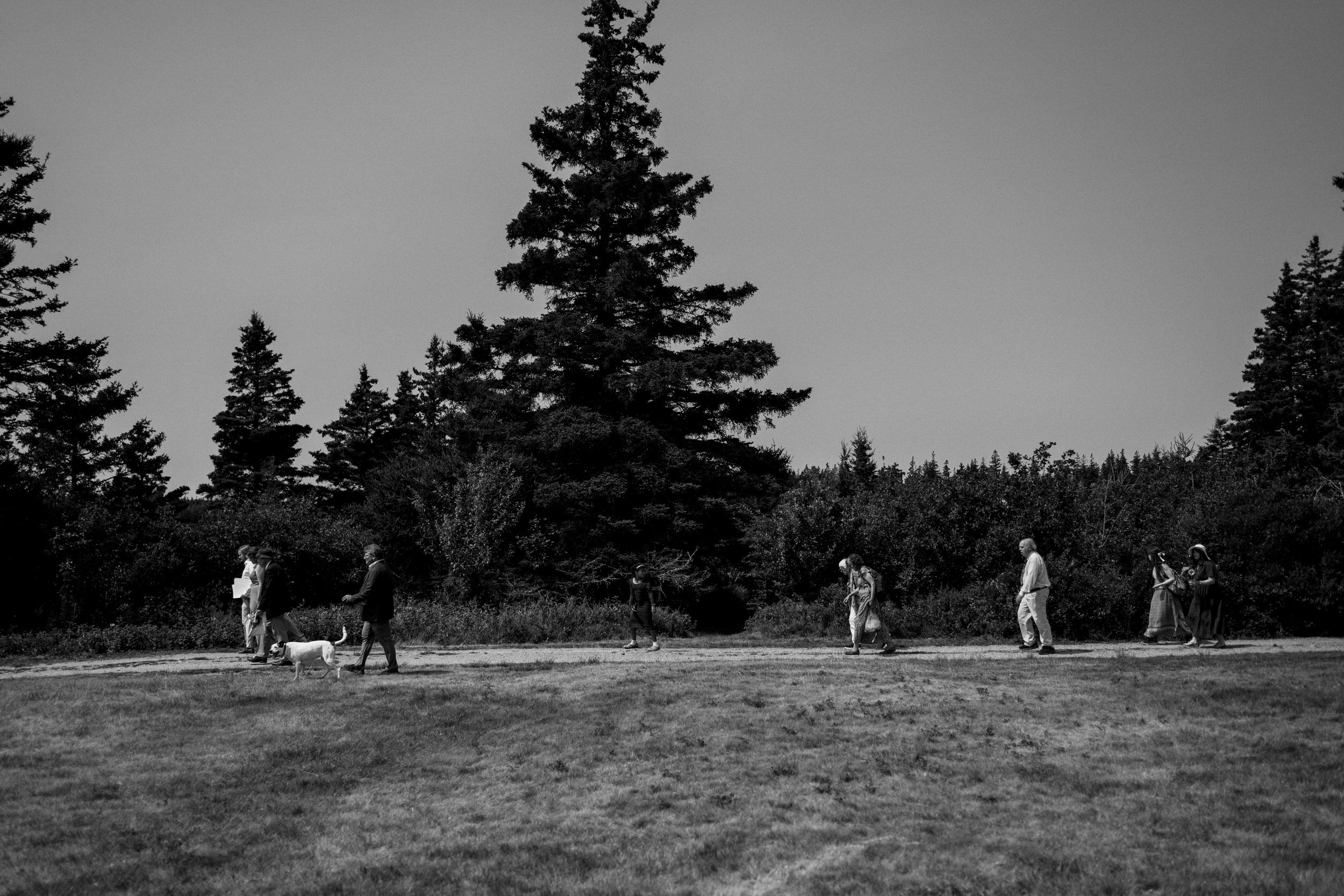 Isle au Haut Maine Wedding 0017.JPG