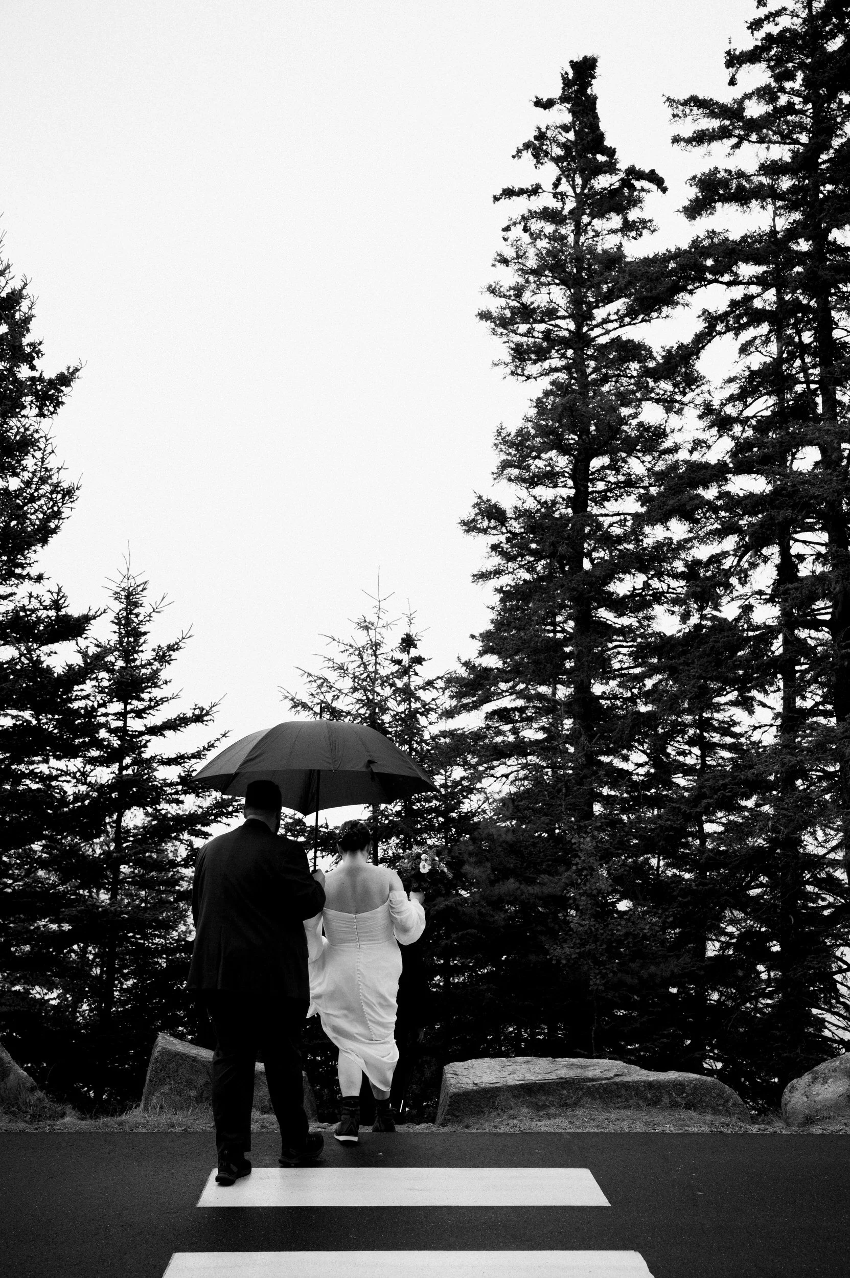Acadia Elopement in the Fall 0001.JPG