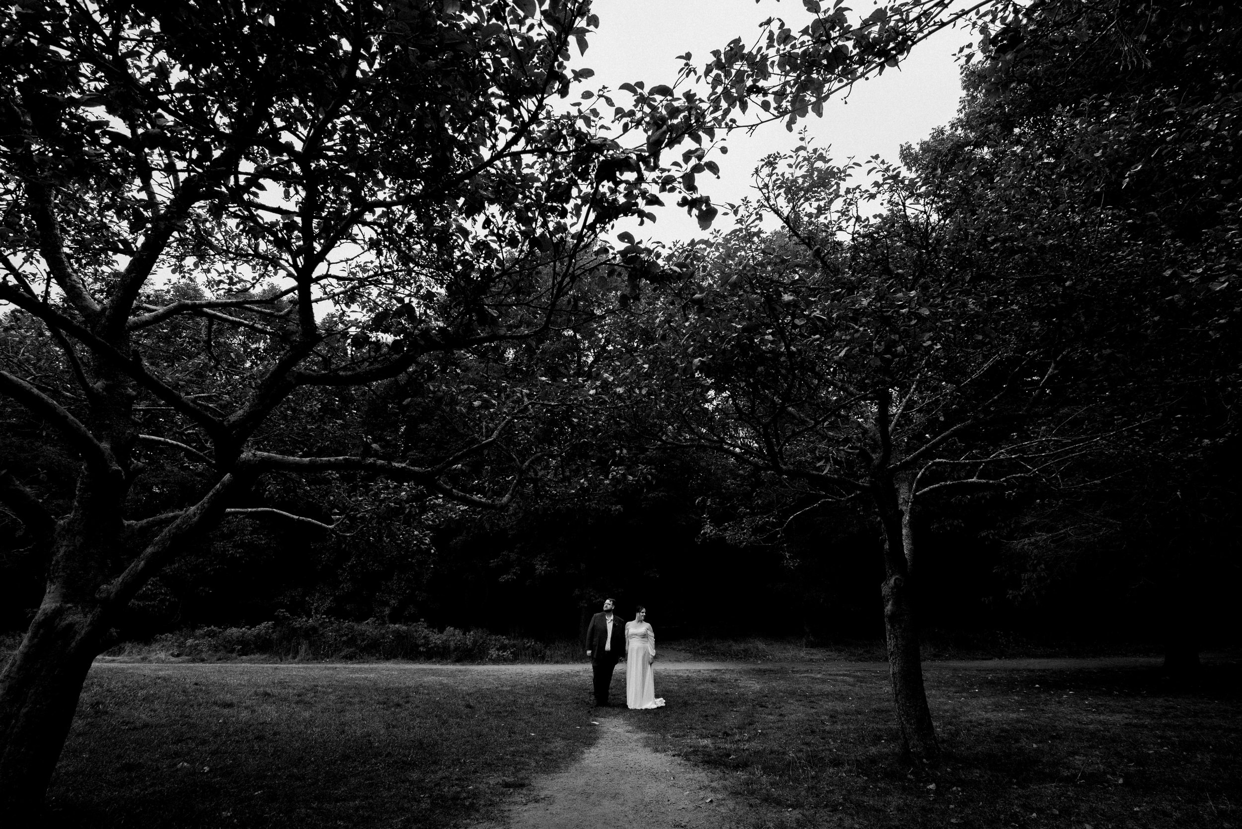 Acadia Elopement in the Fall 0018.JPG