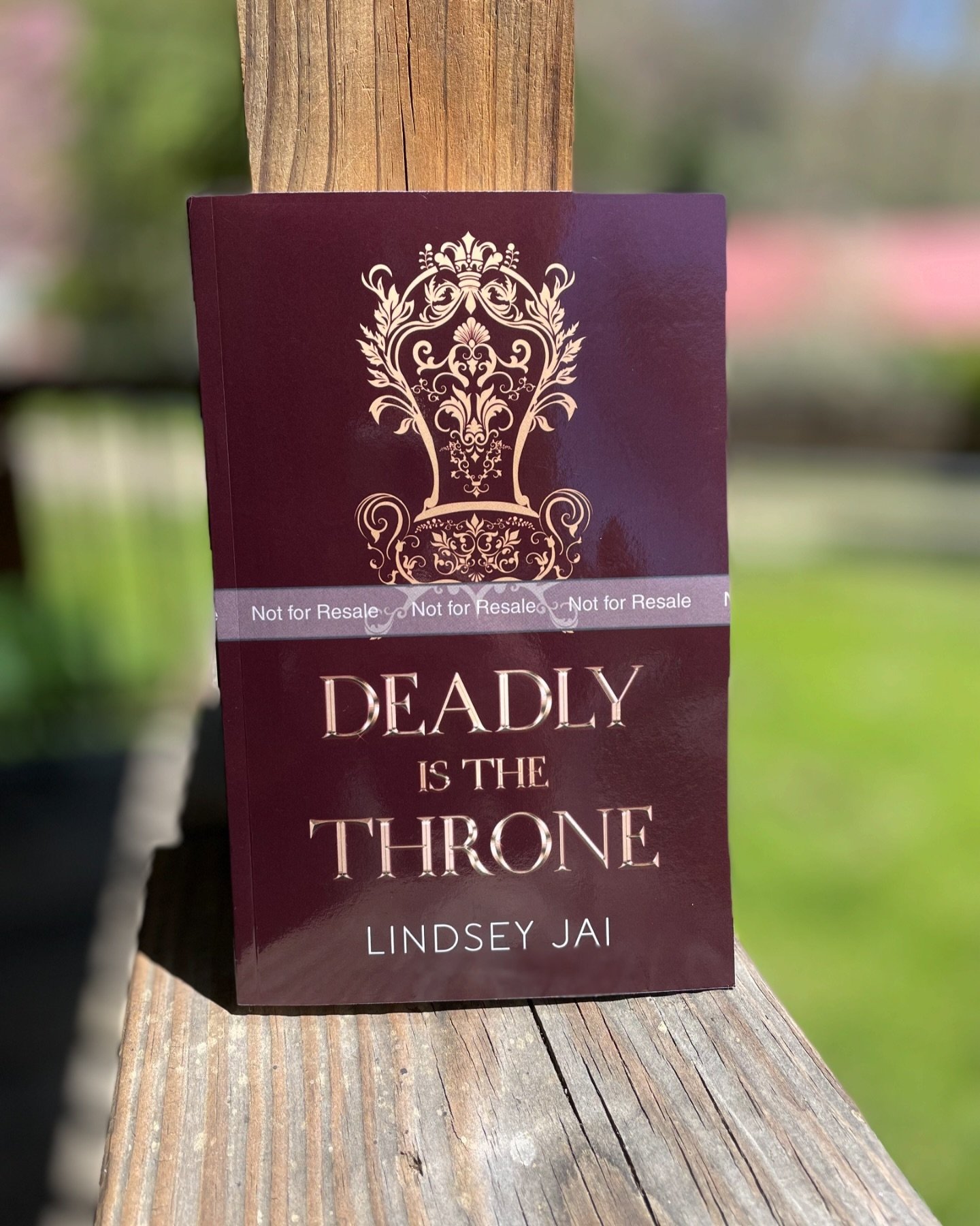 The Ebook (only) for Deadly is the Throne is now available for preorder ✨ book releasing May 30th!