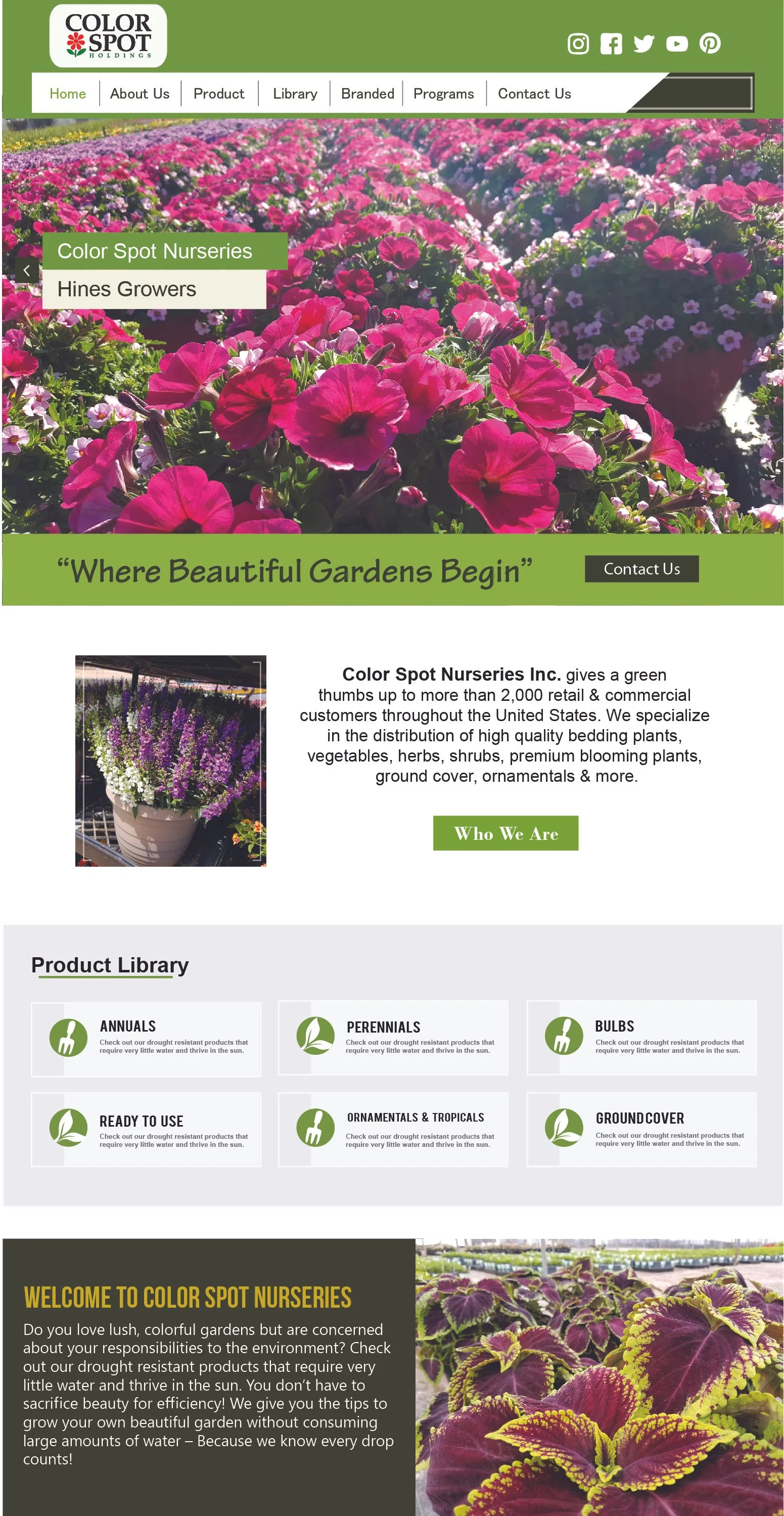 CSN WEBSITE DESIGN V2.jpg