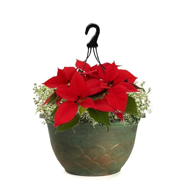 Basket_12in_Artichoke_Patina_Copper_Poinsettia.jpg