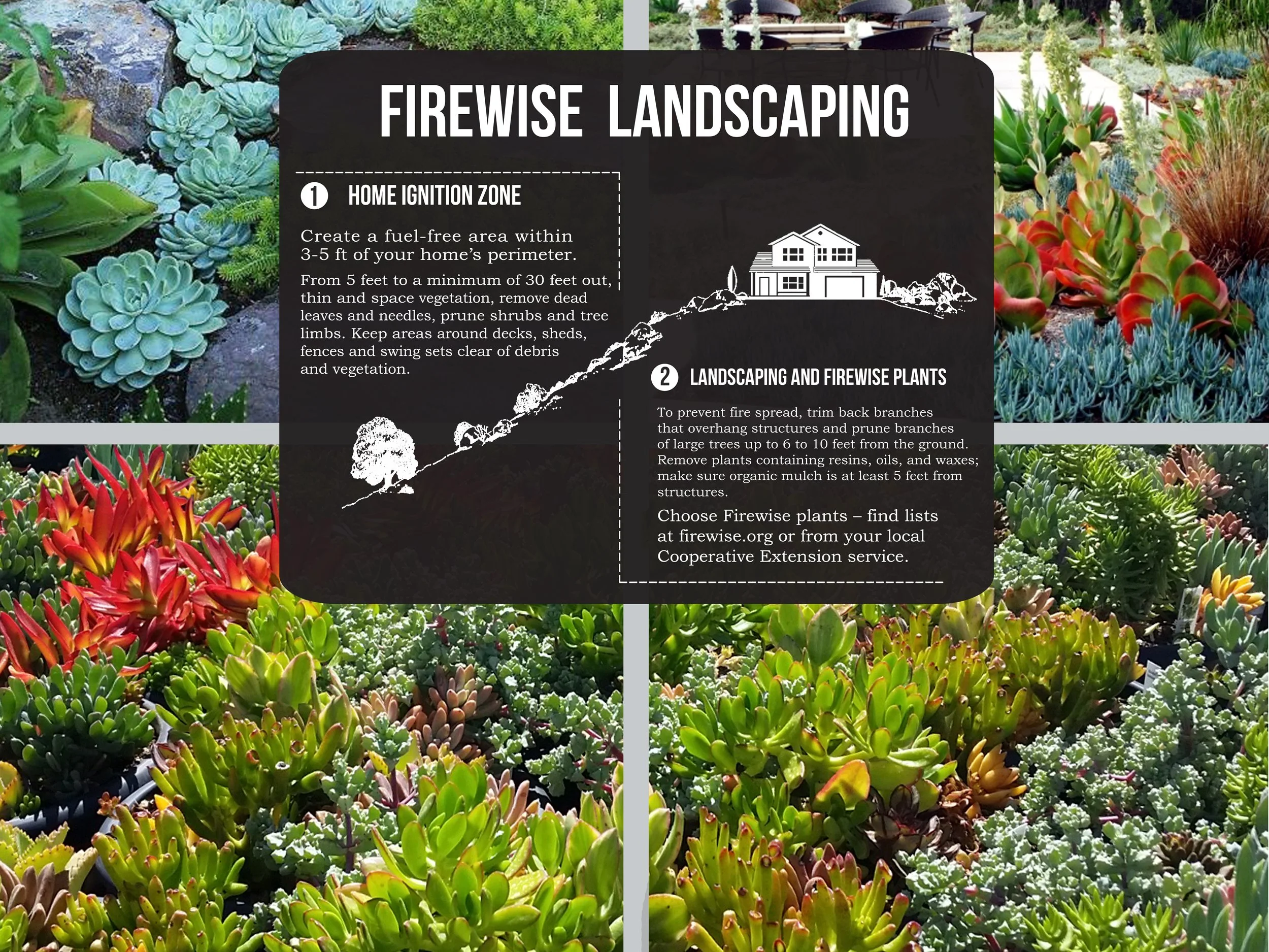 Firewise Landscaping Concept.jpg