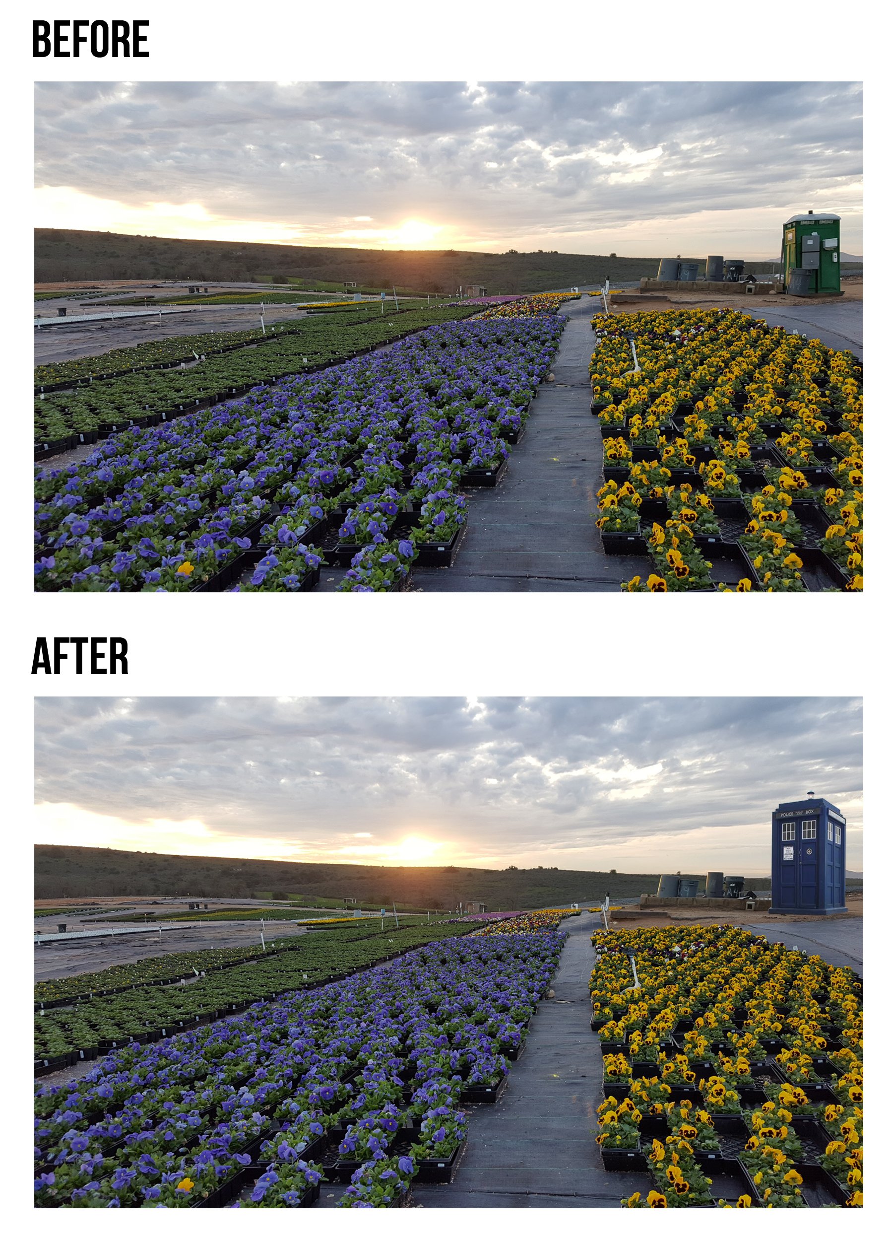 Tarddis Before and After.jpg