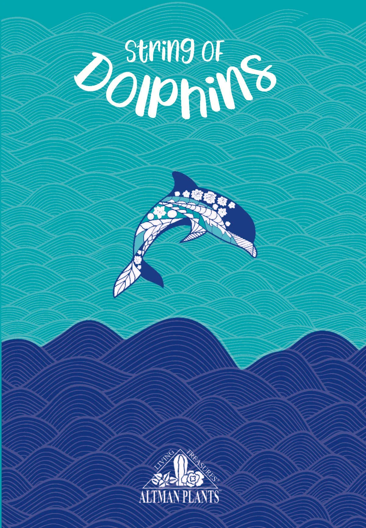 String-of-Dolphins-PromoCard_4x5.75_UPDATED_Page_1.jpg