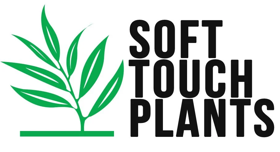 Soft Touch Plants.jpg