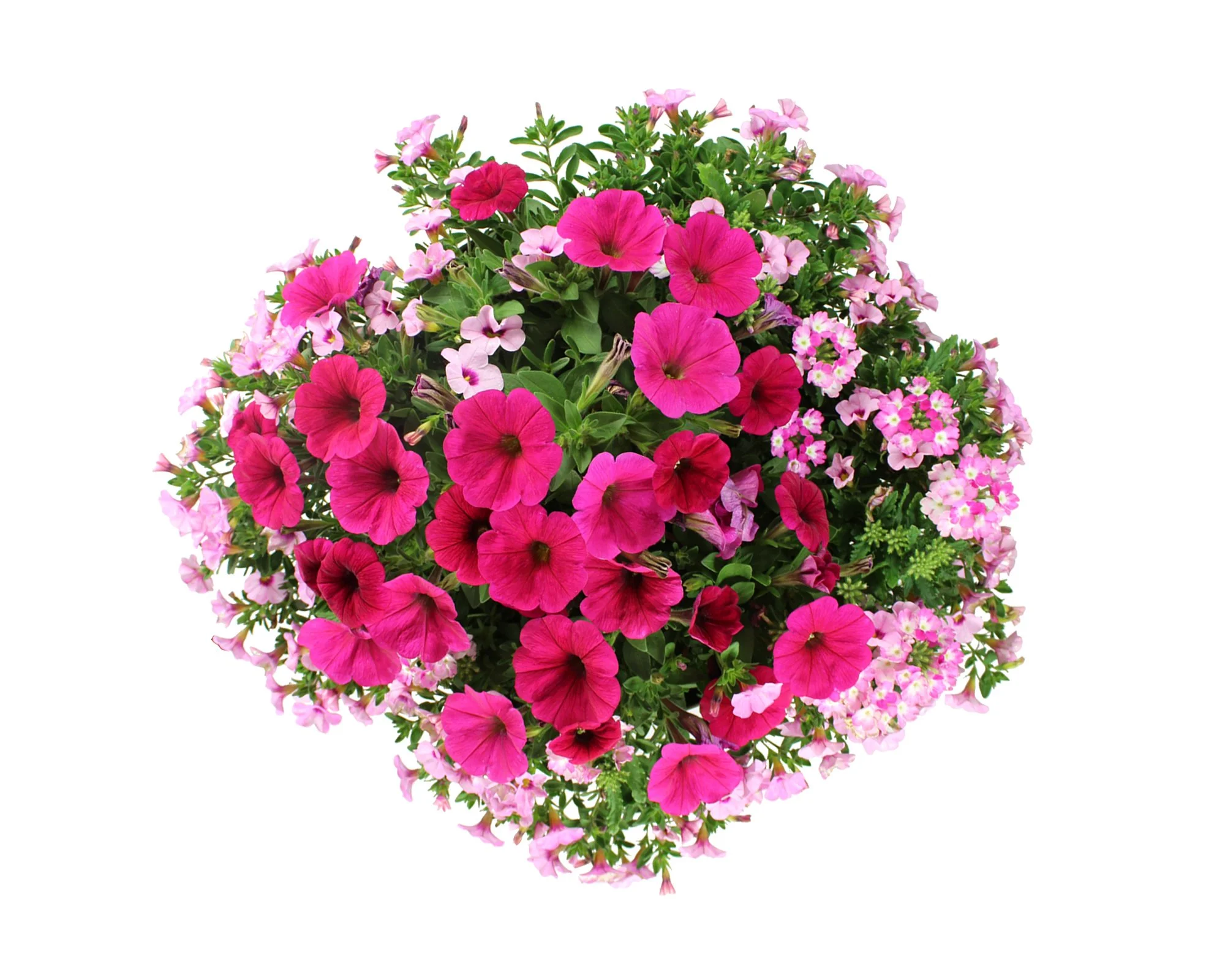 14RTU_COMBO_Confetti_Shocking_Pink_MD-LO_TOP SHOT.jpg