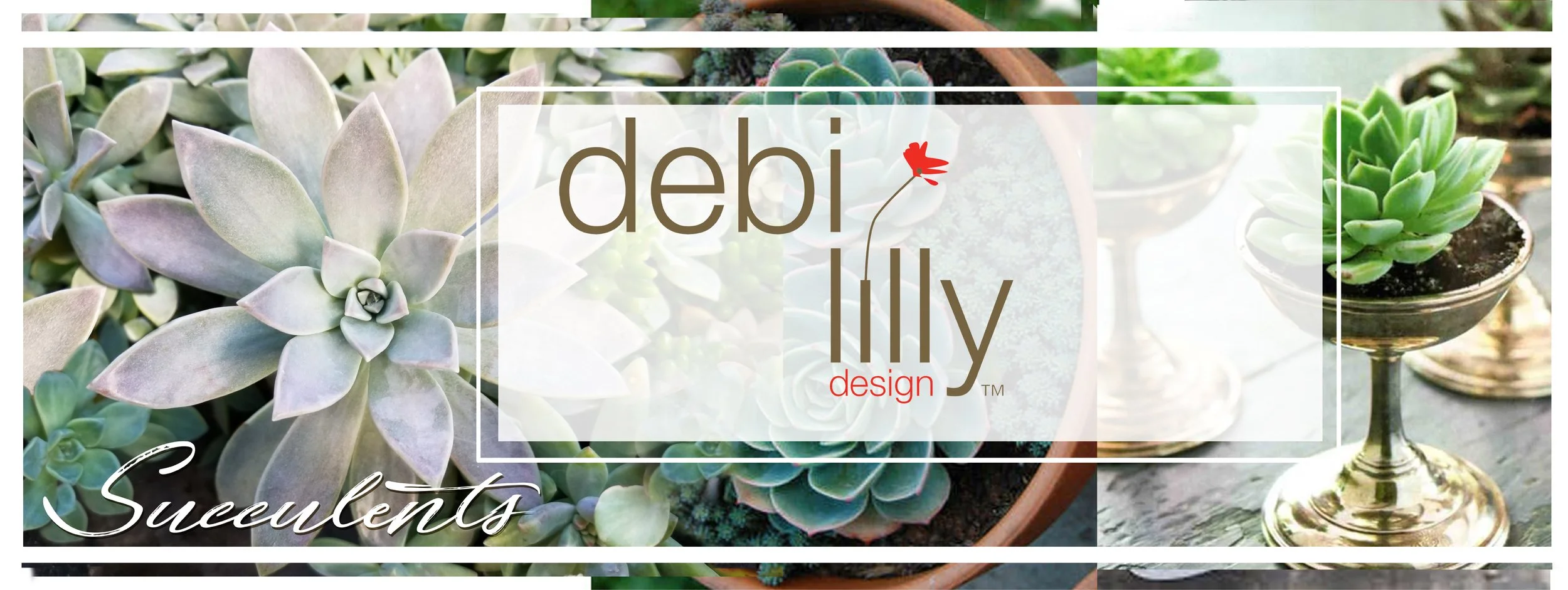 Debi Lilly_Header_46x15.5.jpg