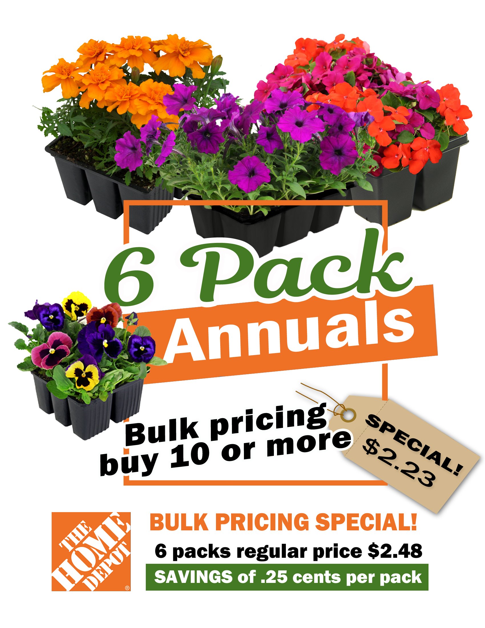 HD_Steve Ginise_Flyer Bulk Pricing.jpg